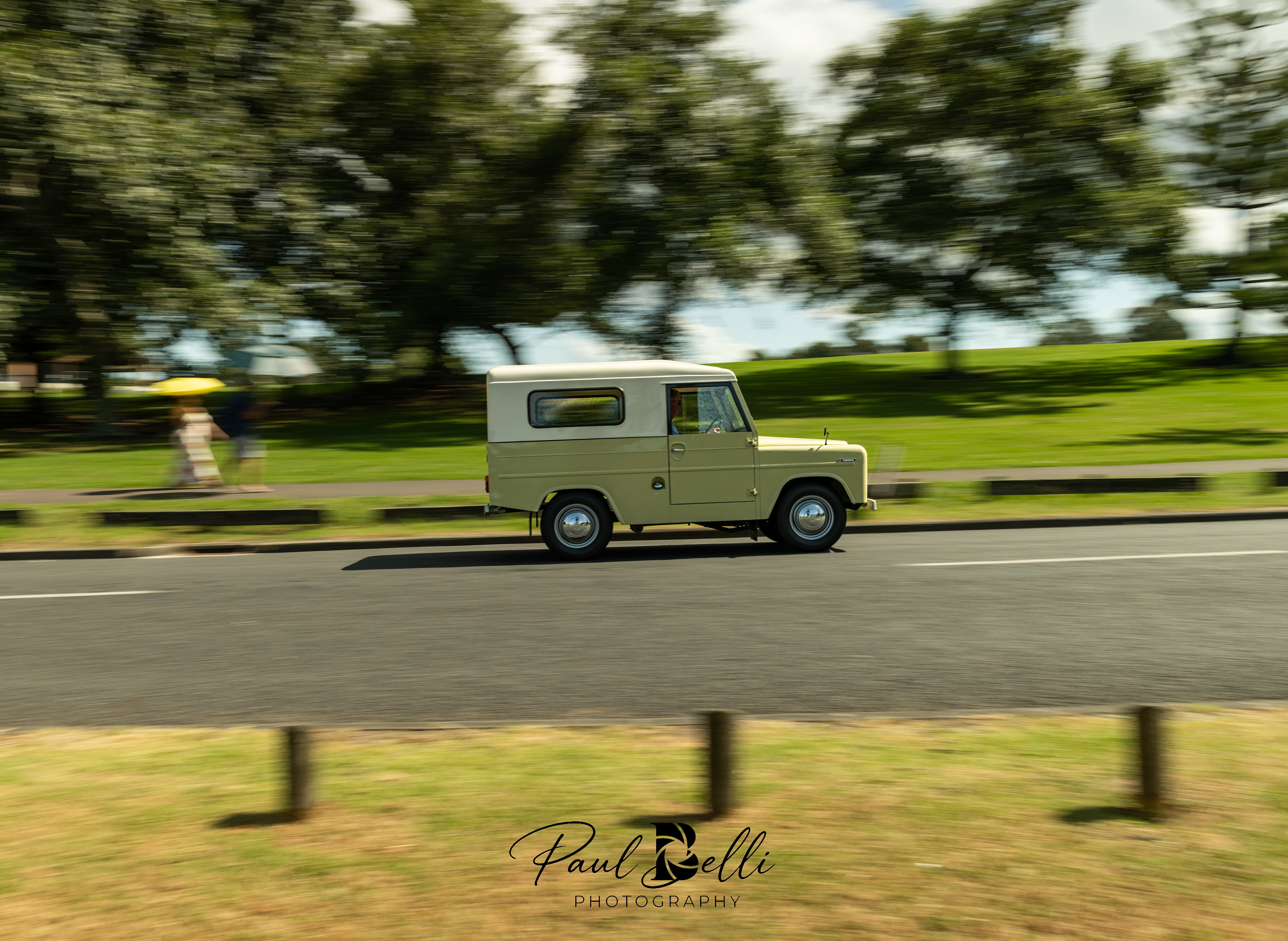 Afternoon Panning 100
