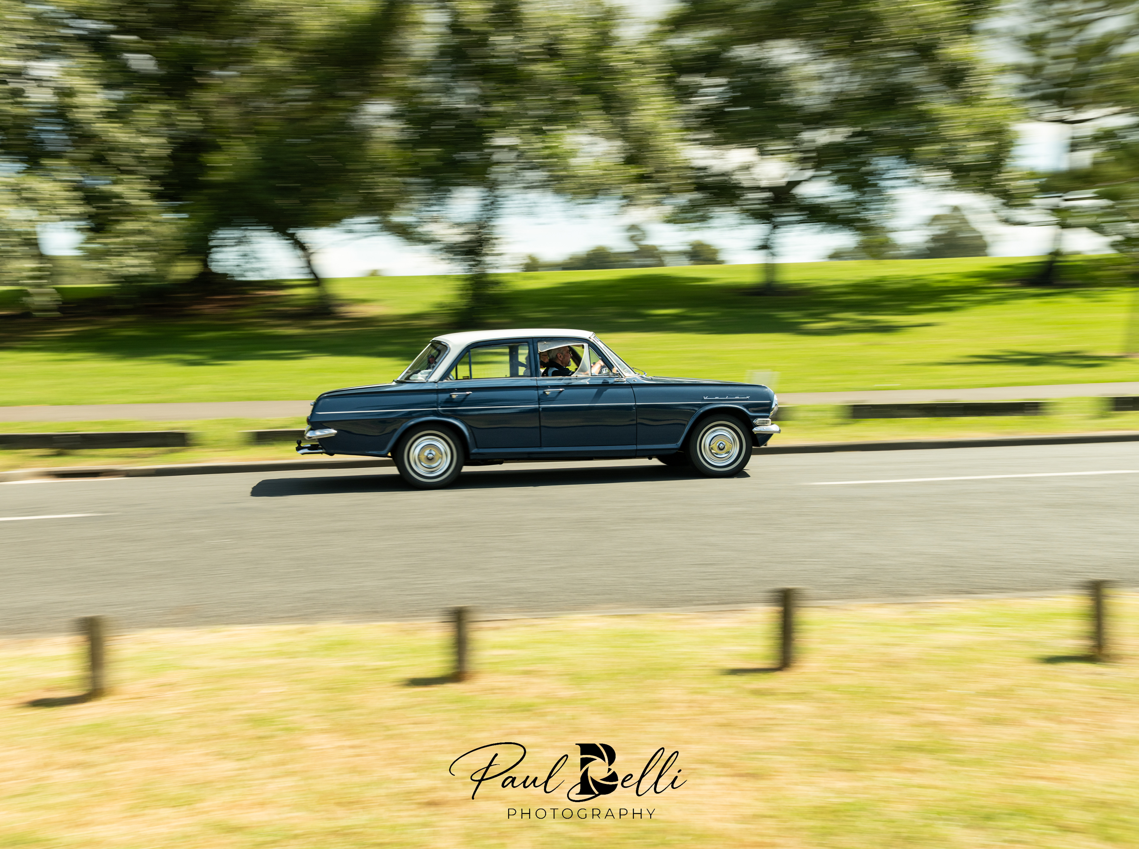 Afternoon Panning 45