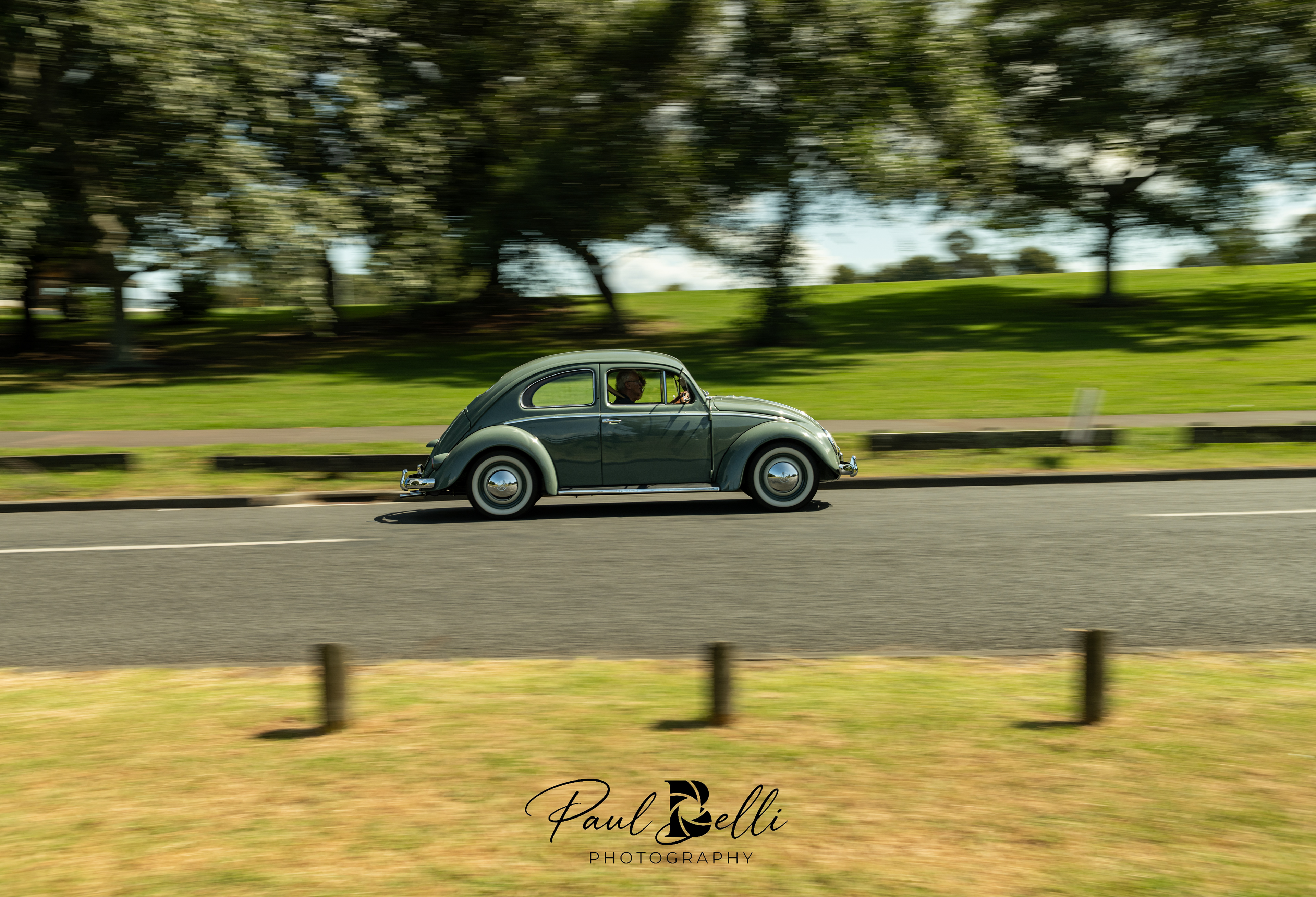 Afternoon Panning 74