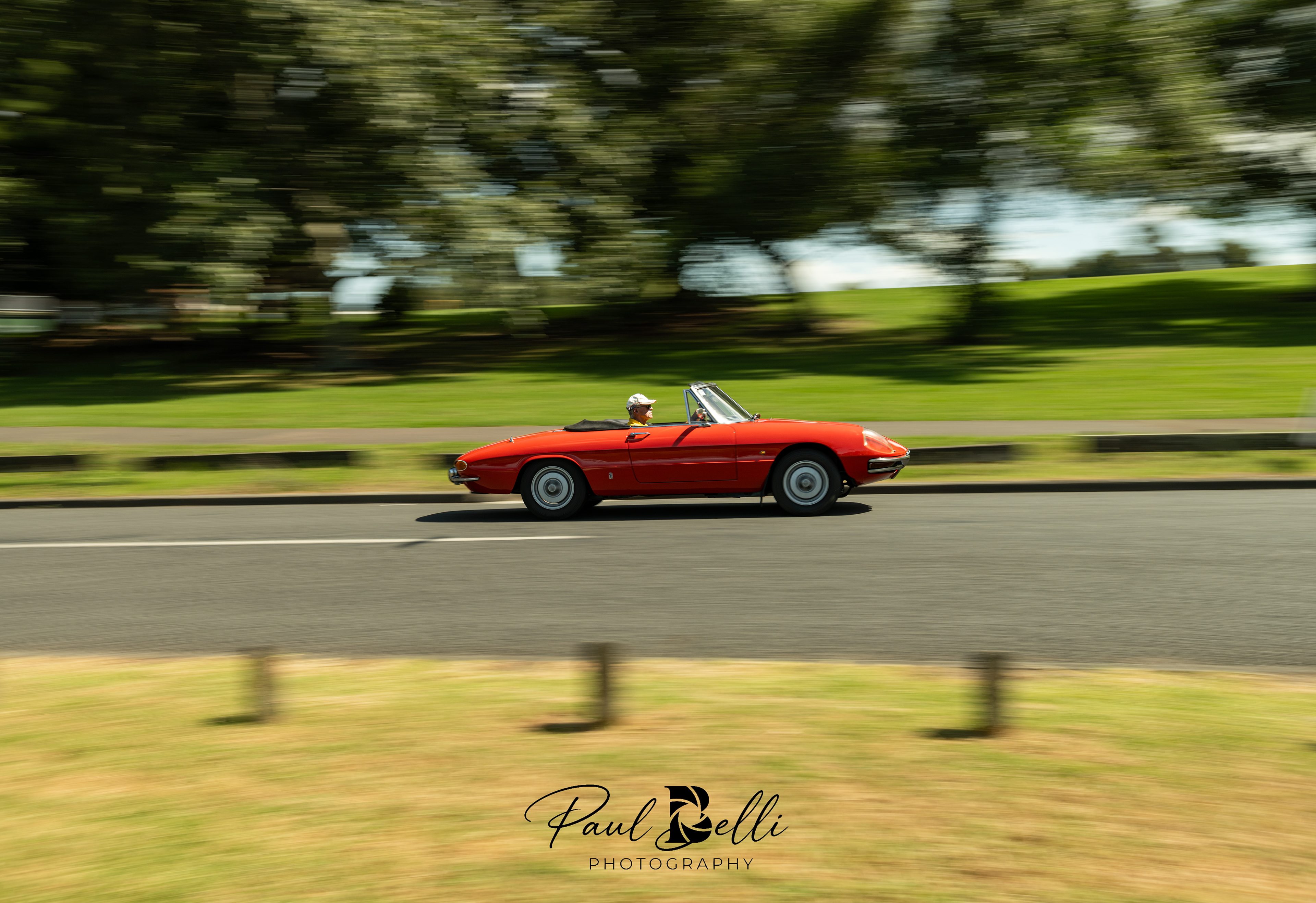 Afternoon Panning 51