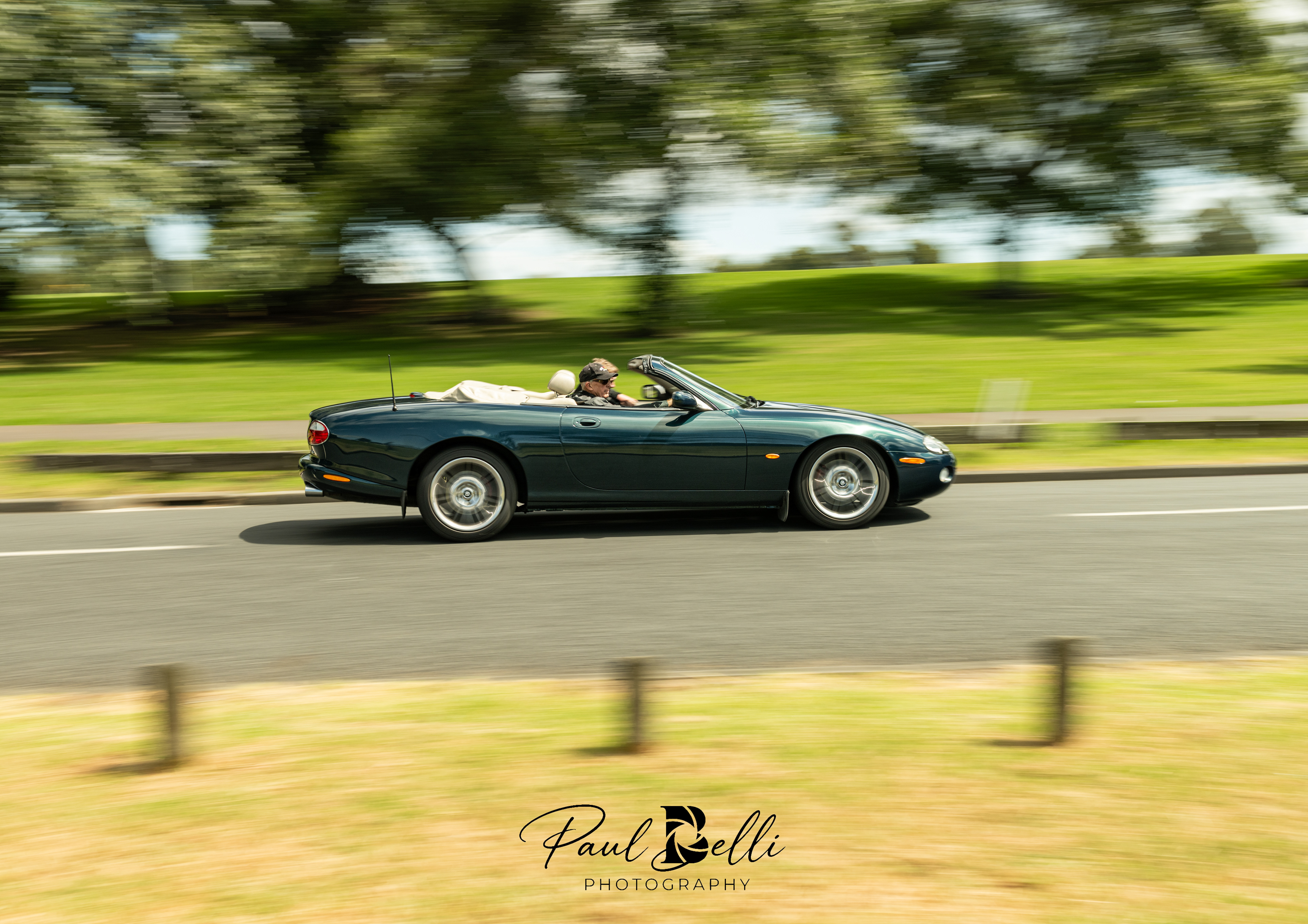 Afternoon Panning 1