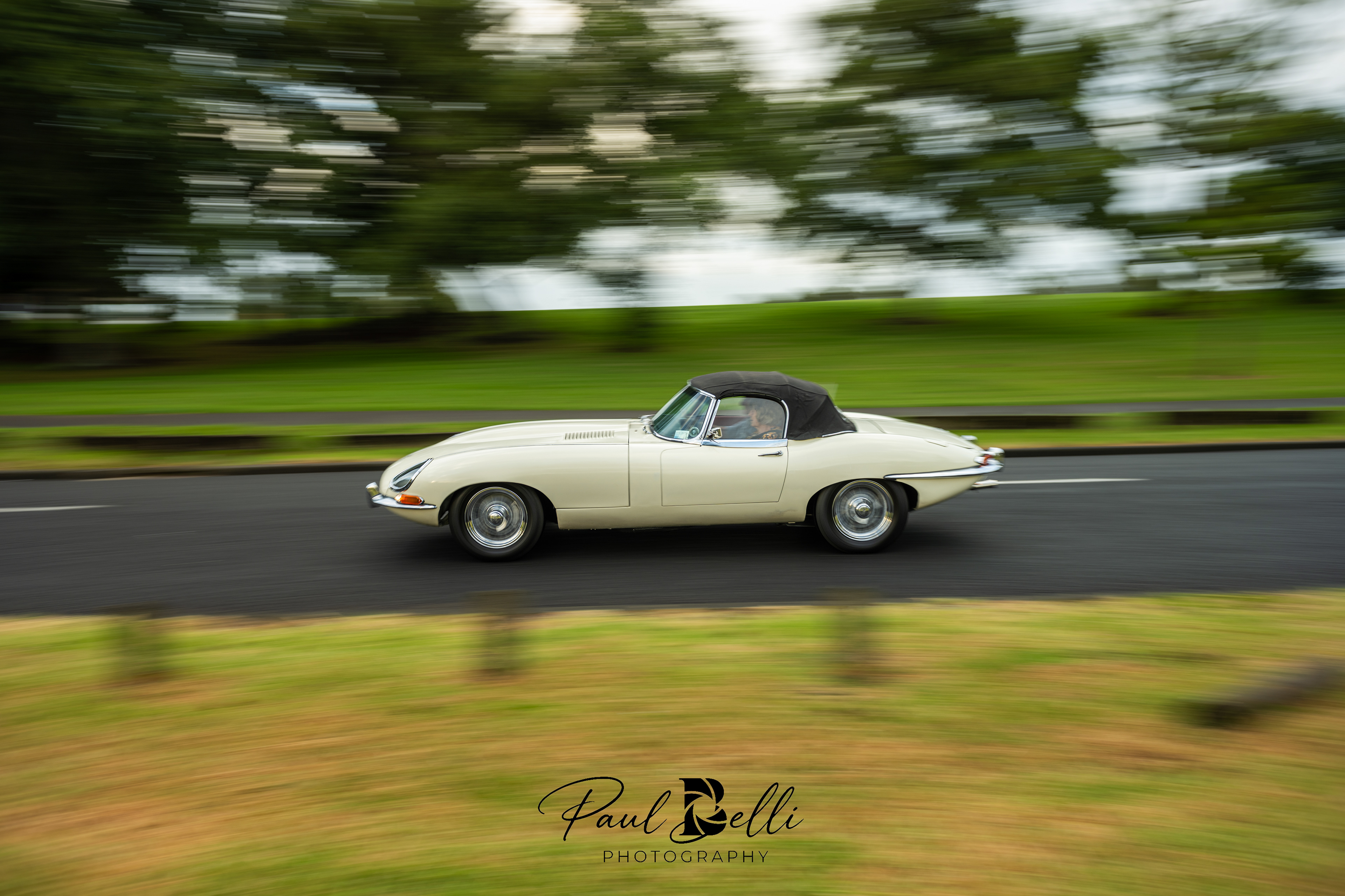 Morning Panning 17