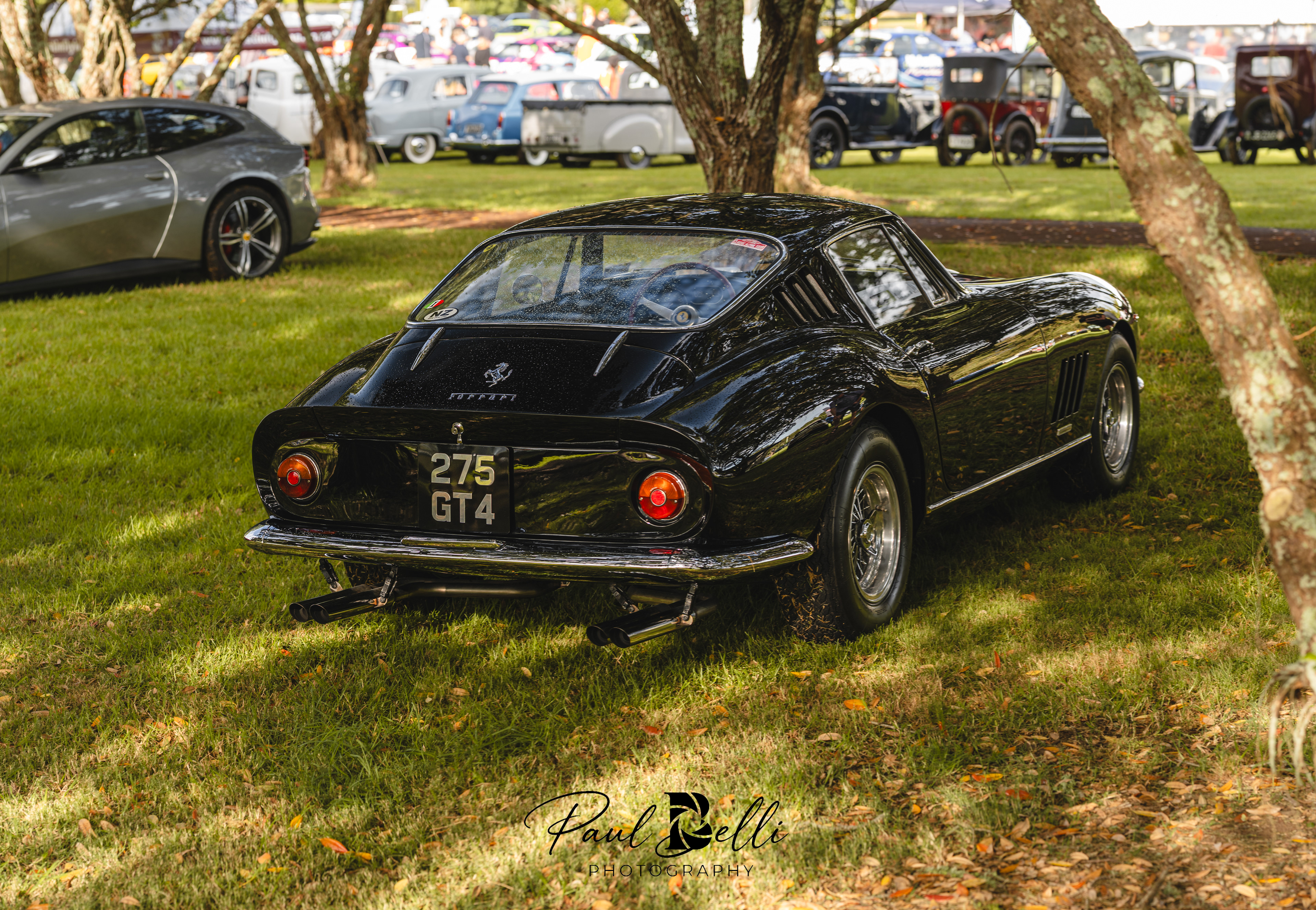 Pano 9