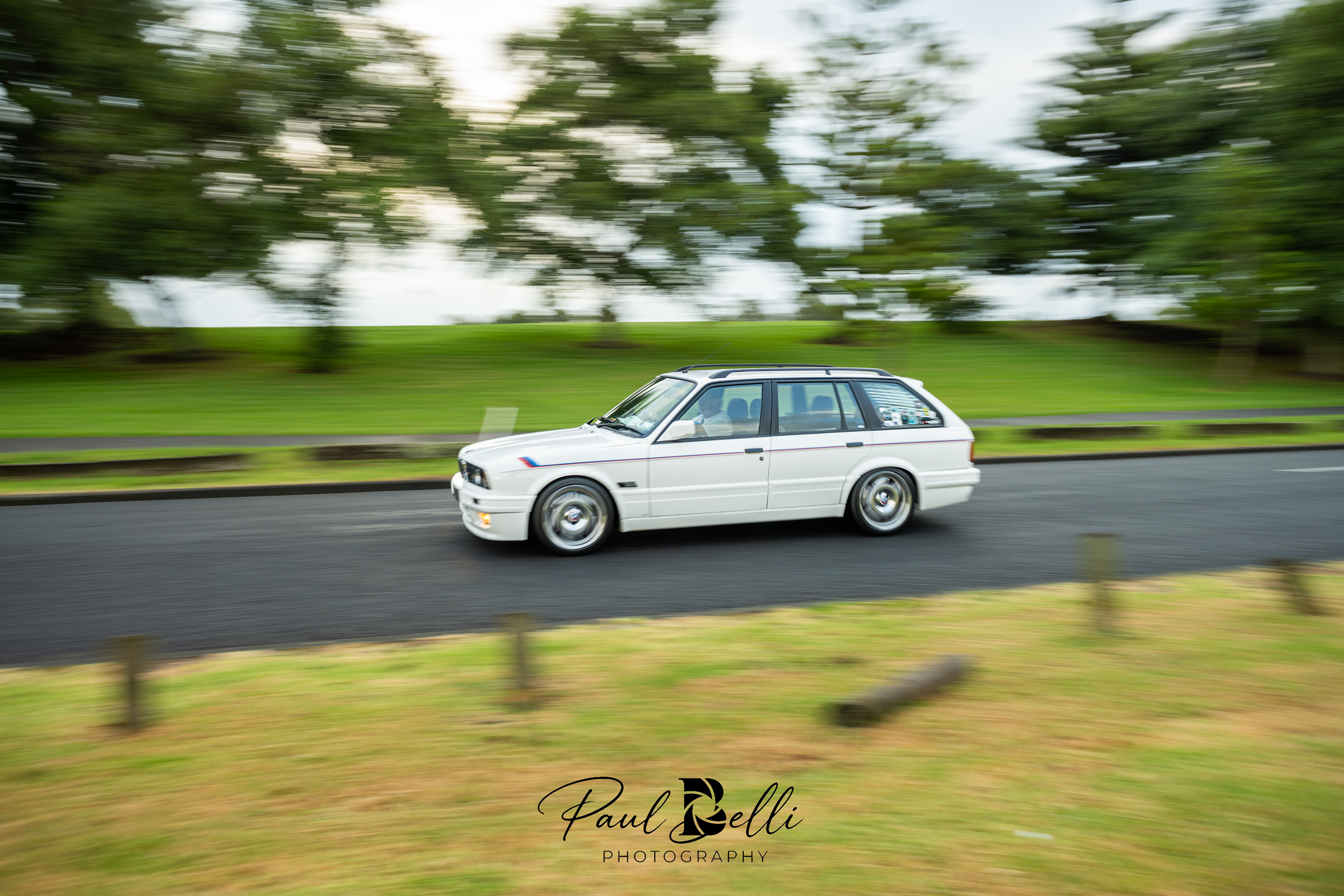 Morning Panning 12
