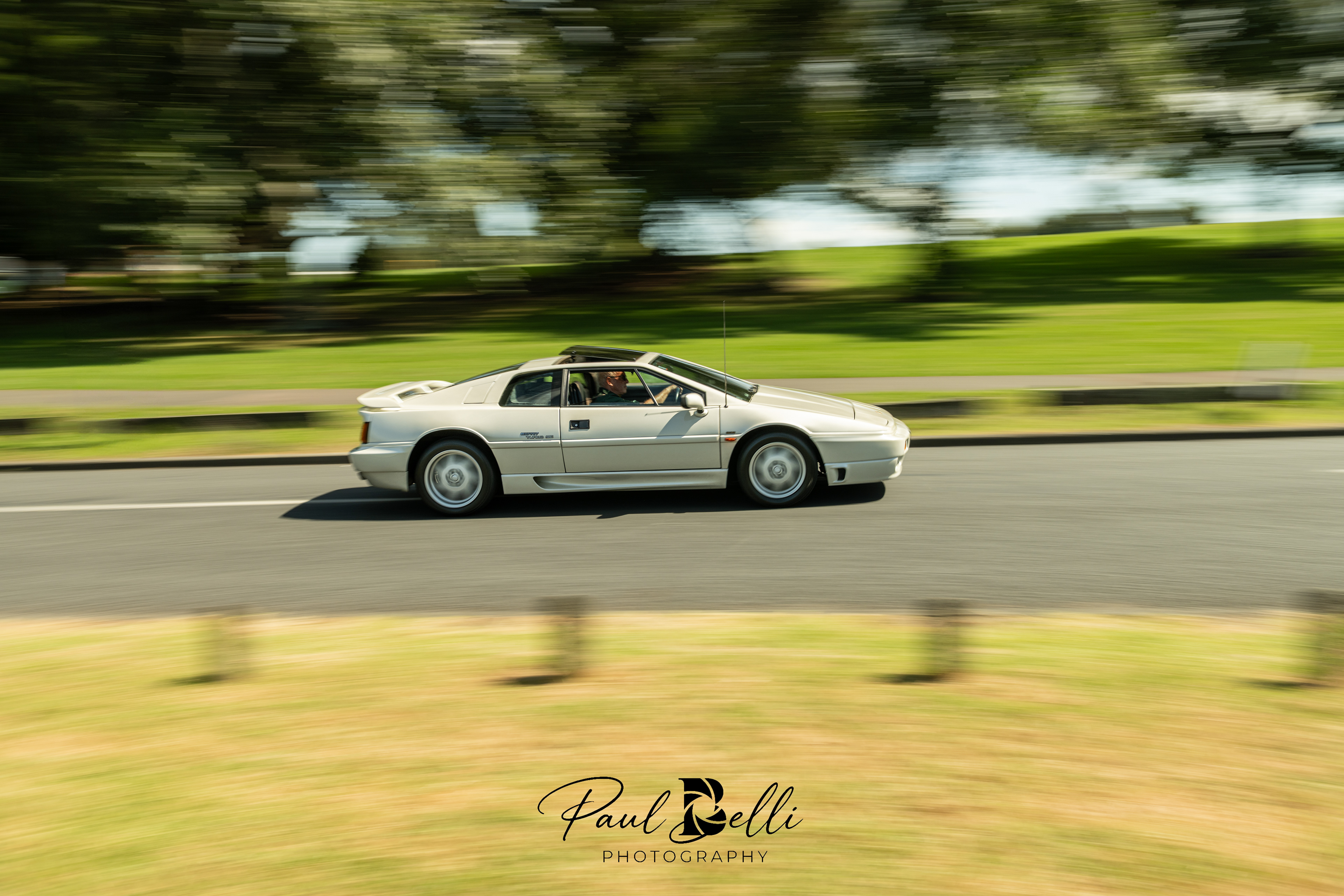 Afternoon Panning 55