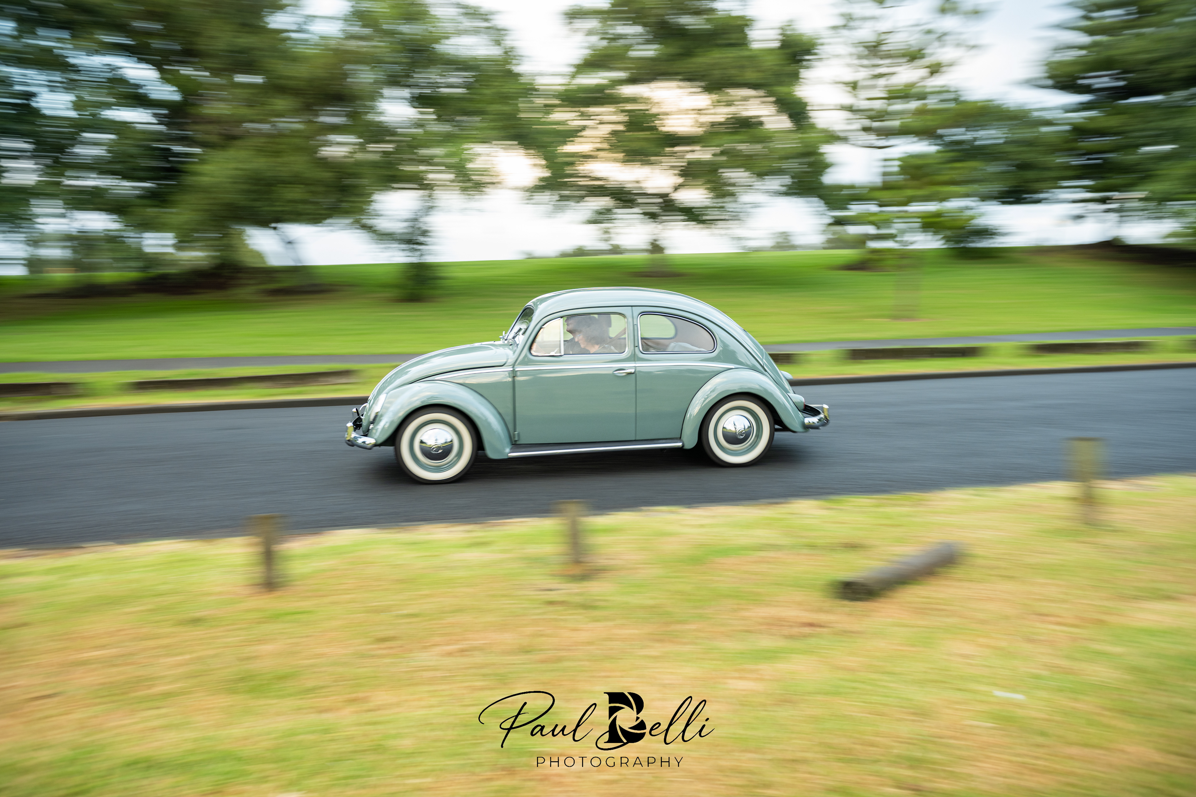 Morning Panning 4
