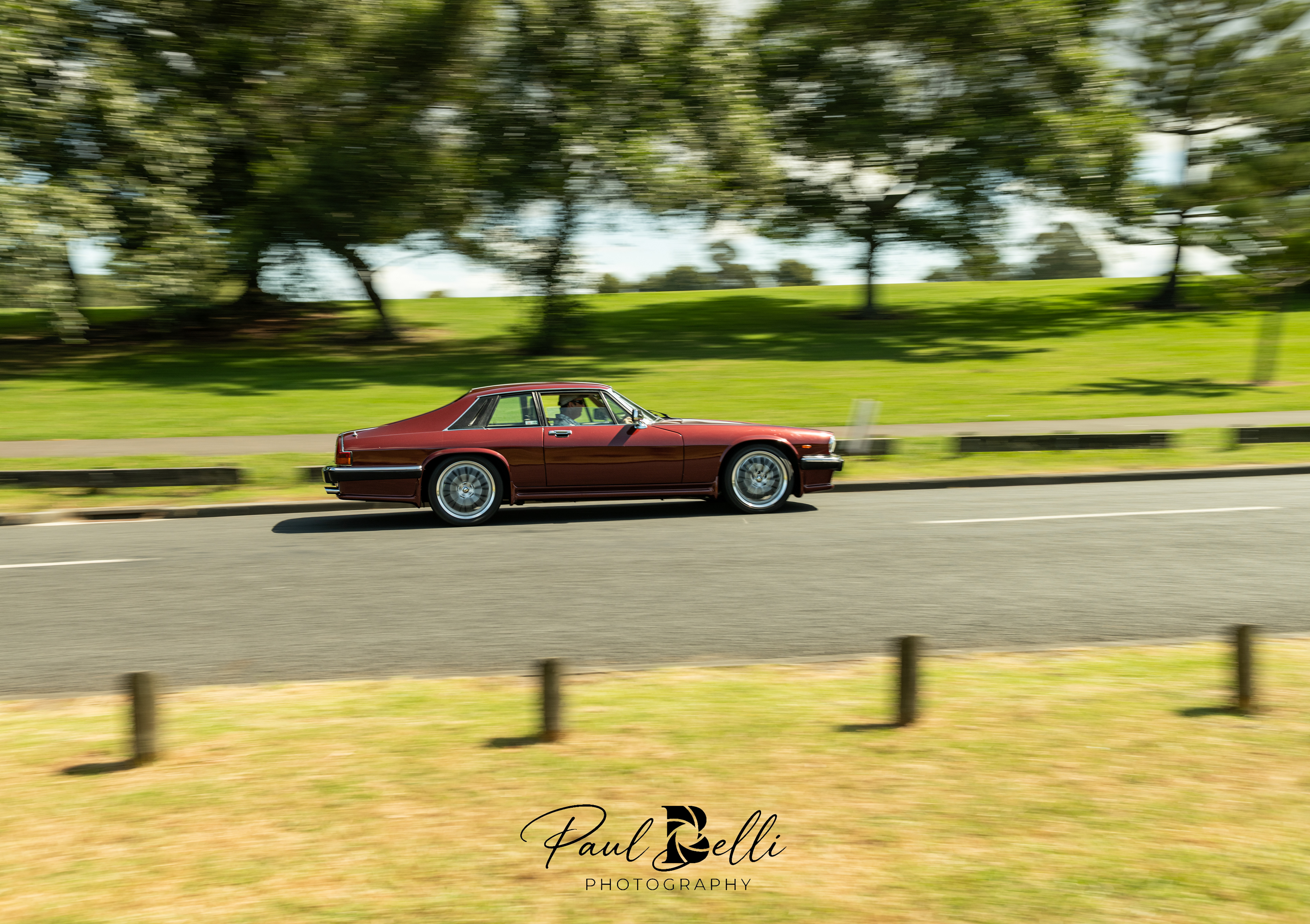 Afternoon Panning 49
