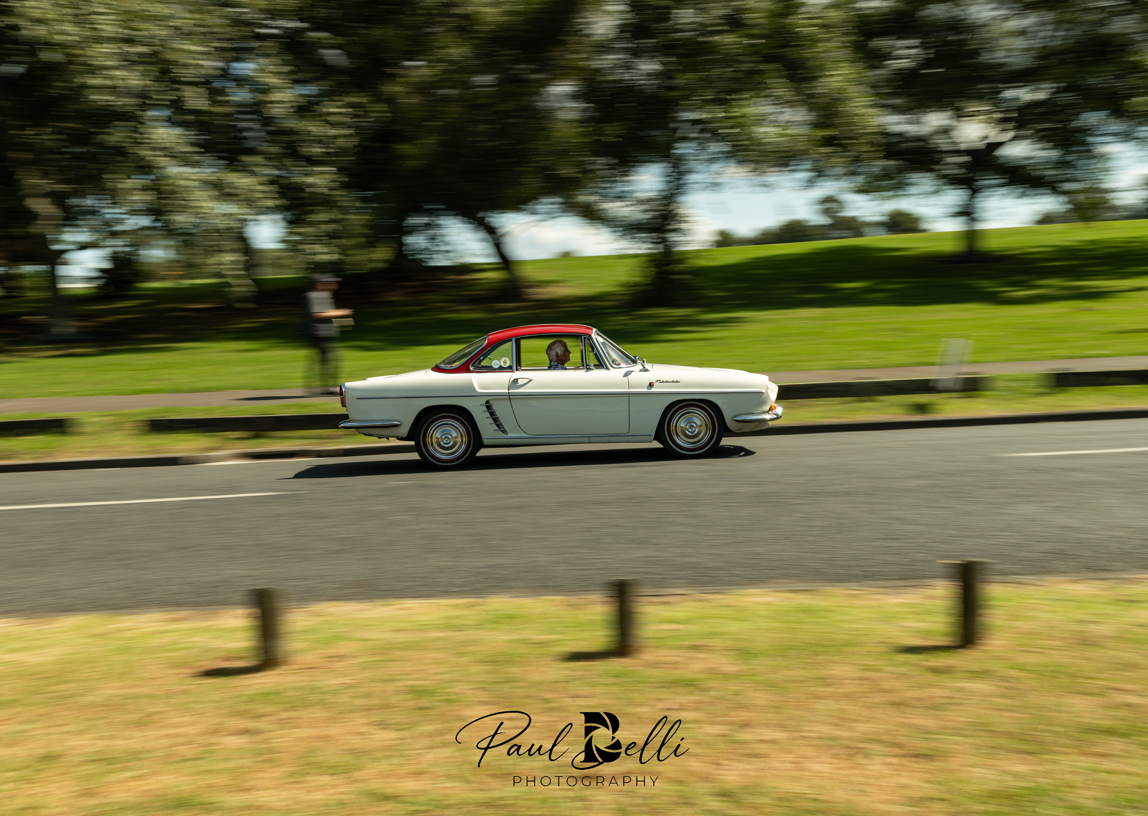 Afternoon Panning 84