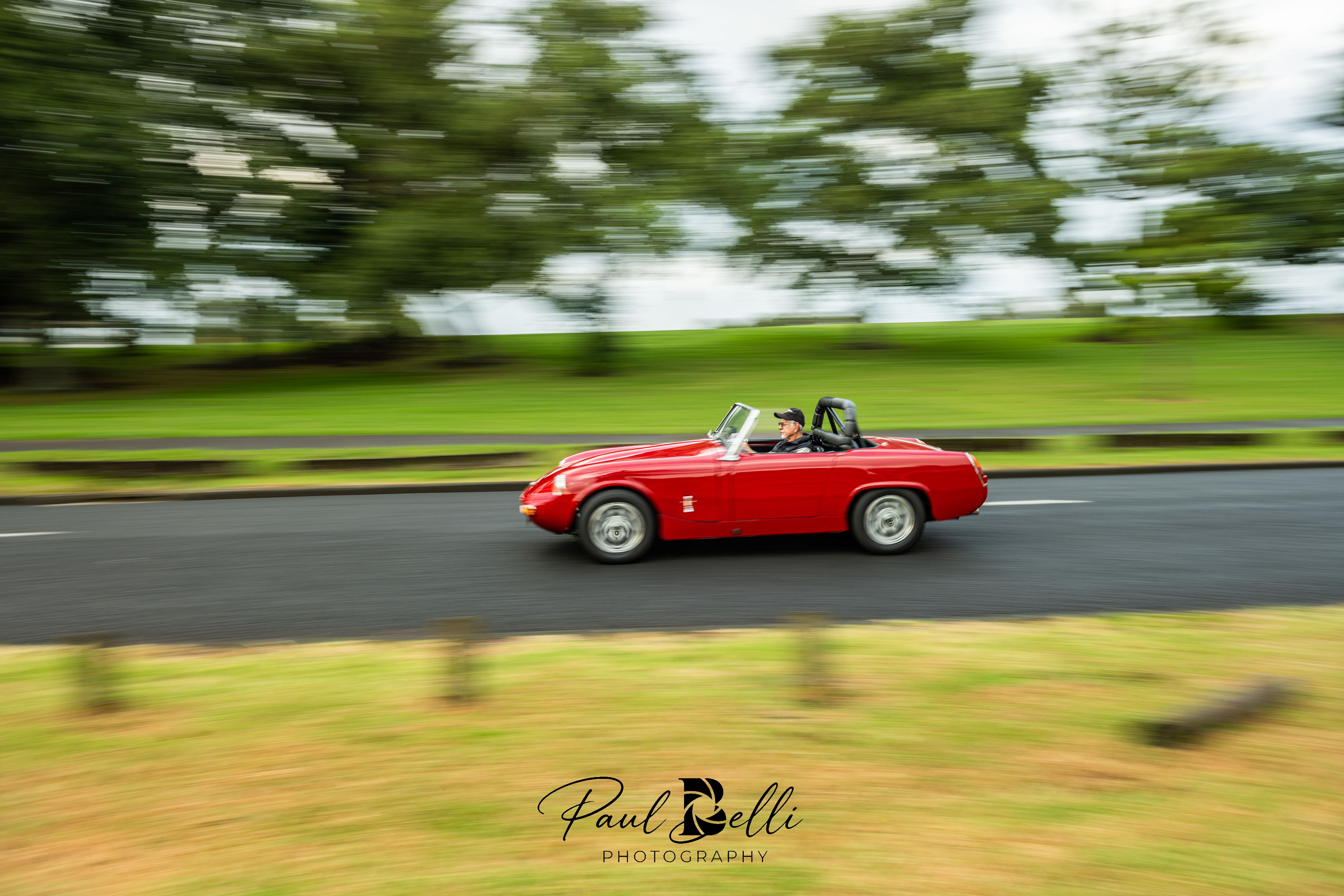 Morning Panning 31