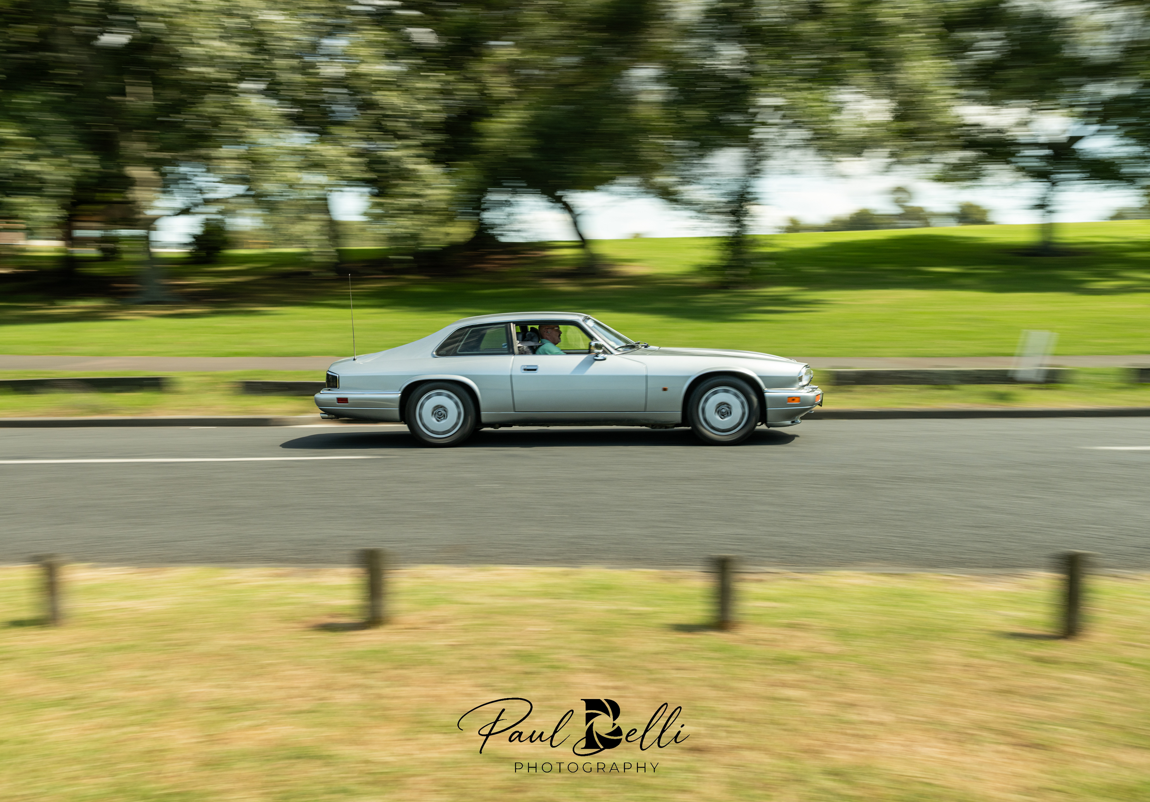 Afternoon Panning 9