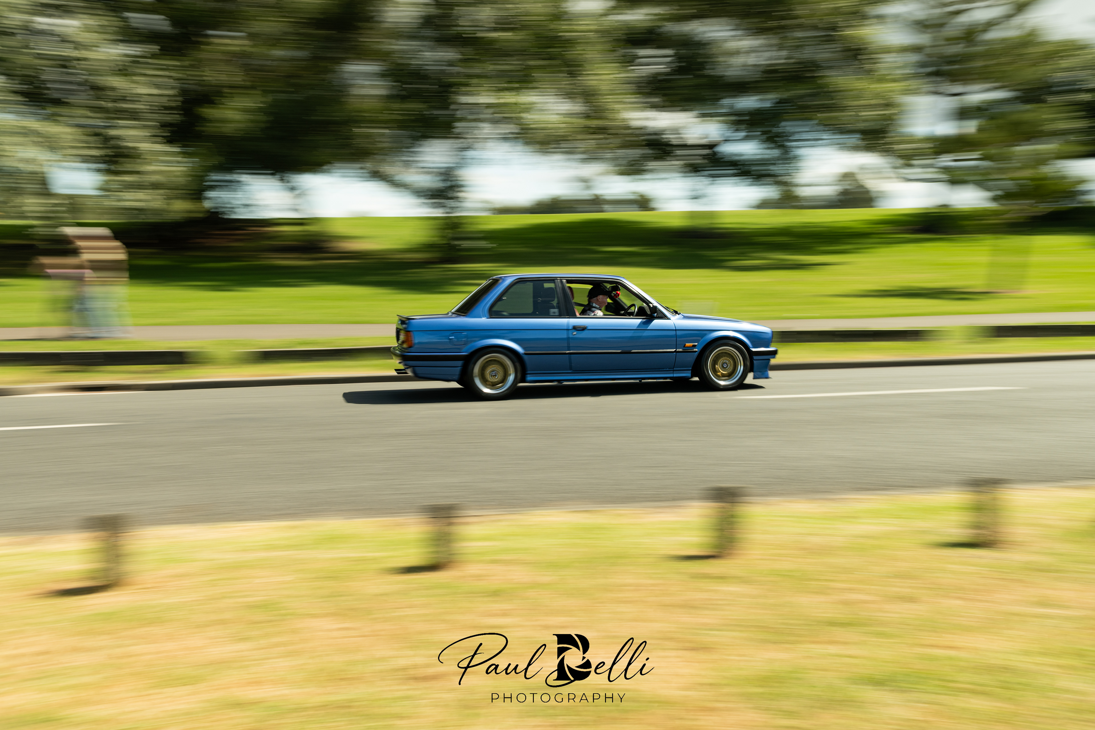Afternoon Panning 14
