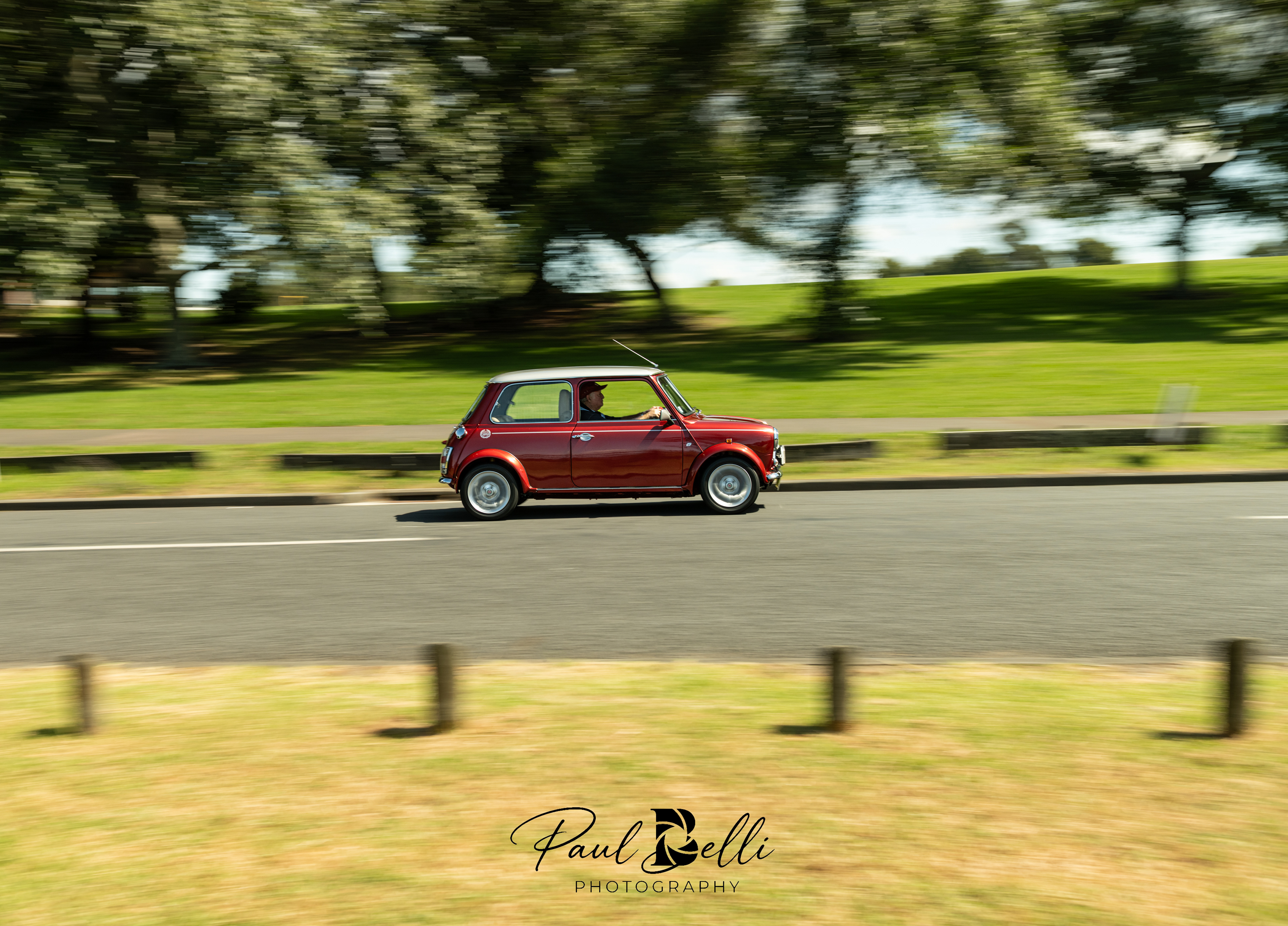 Afternoon Panning 19