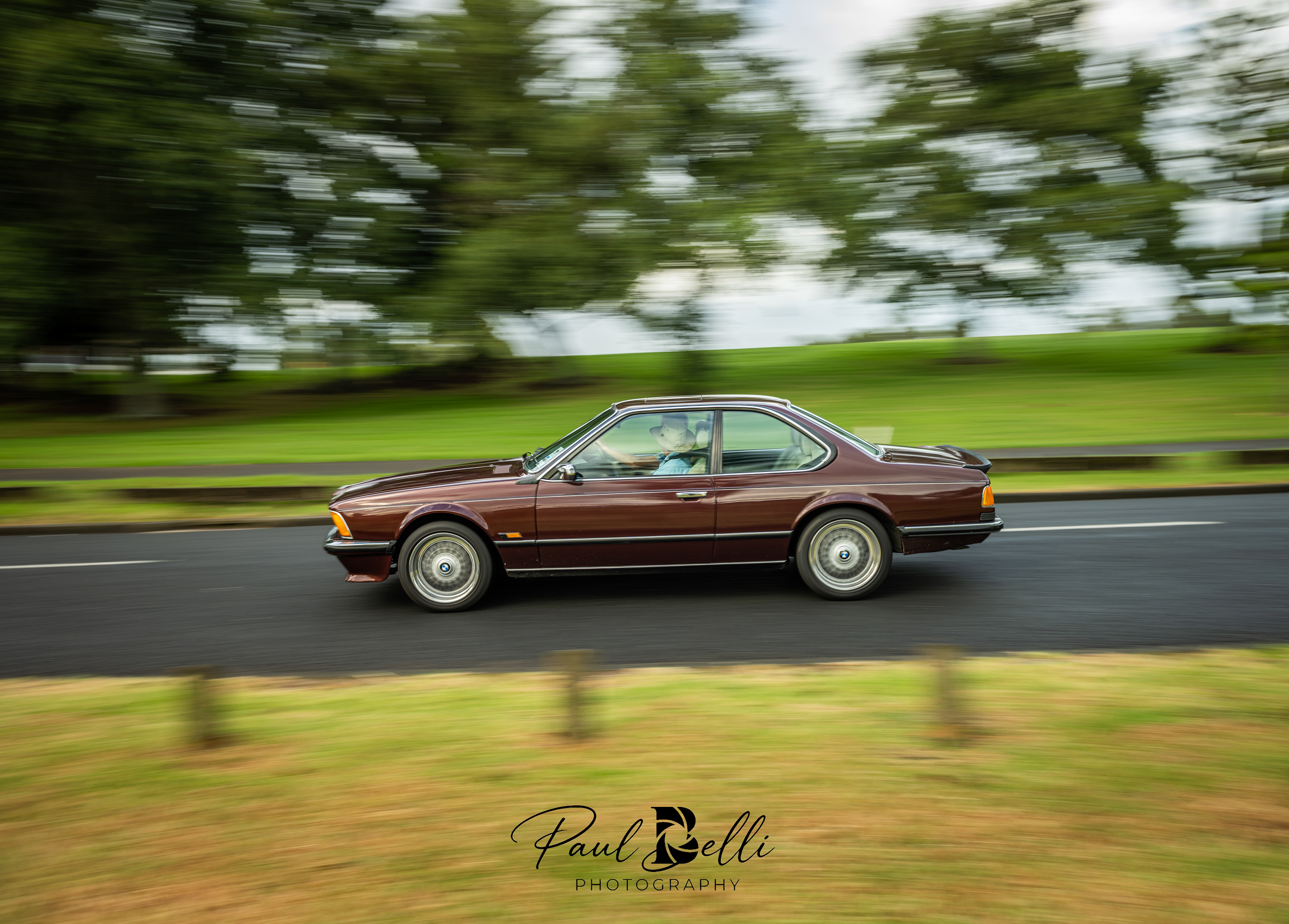 Morning Panning 42