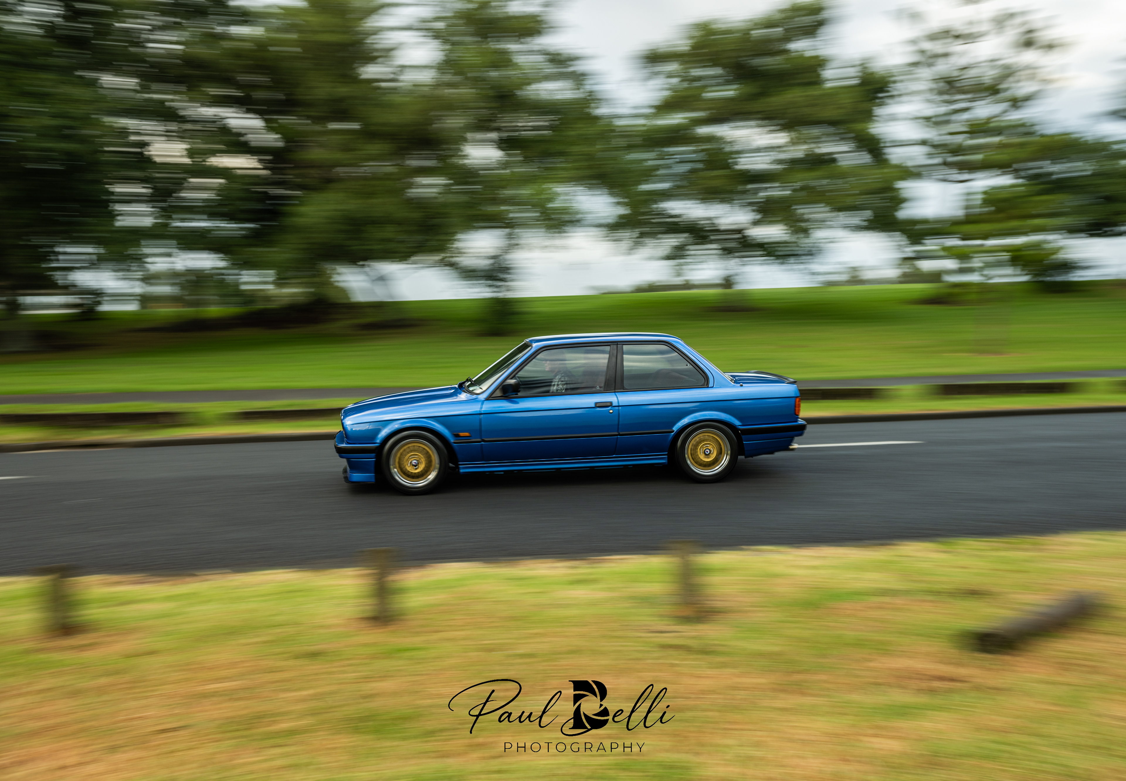 Morning Panning 30