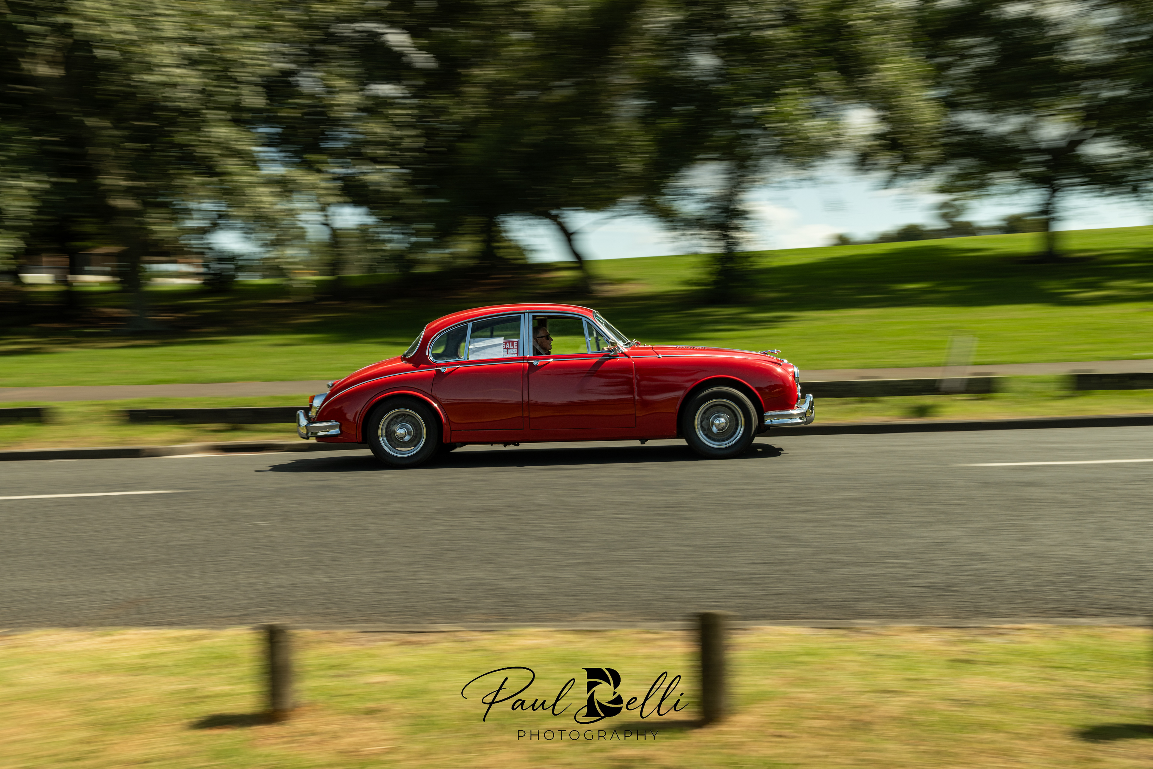 Afternoon Panning 104