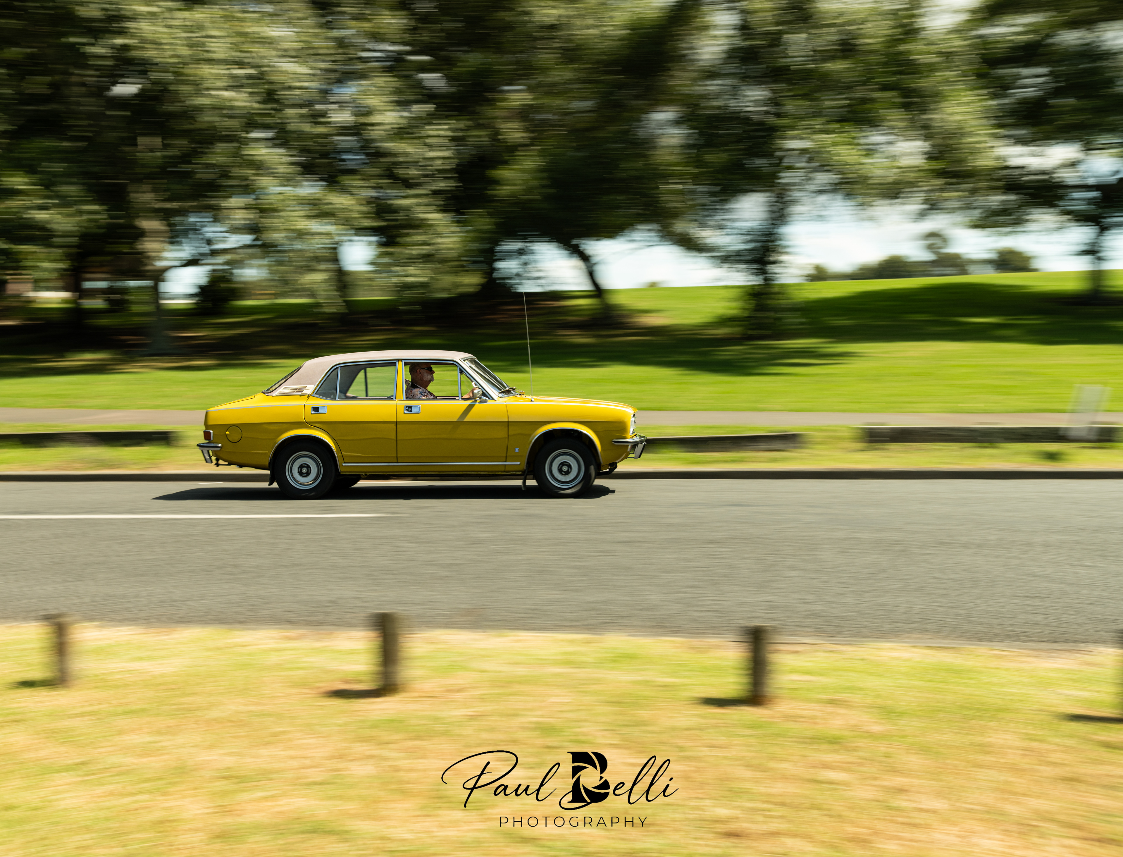 Afternoon Panning 12