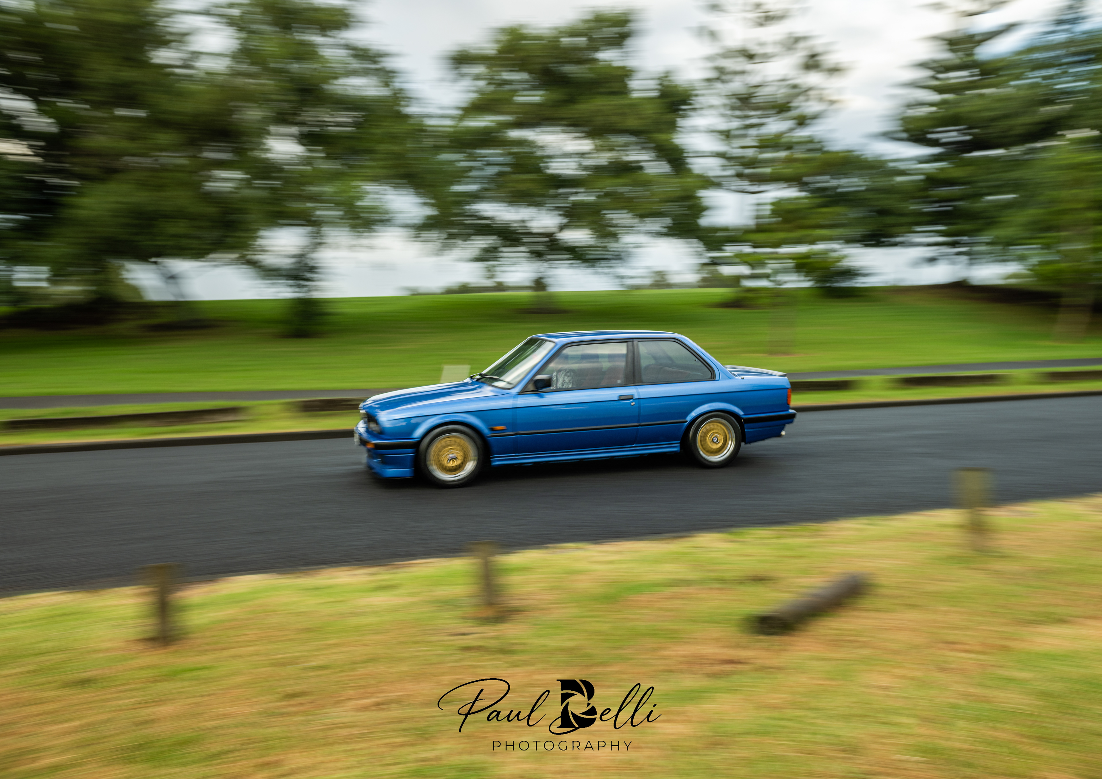 Morning Panning 29