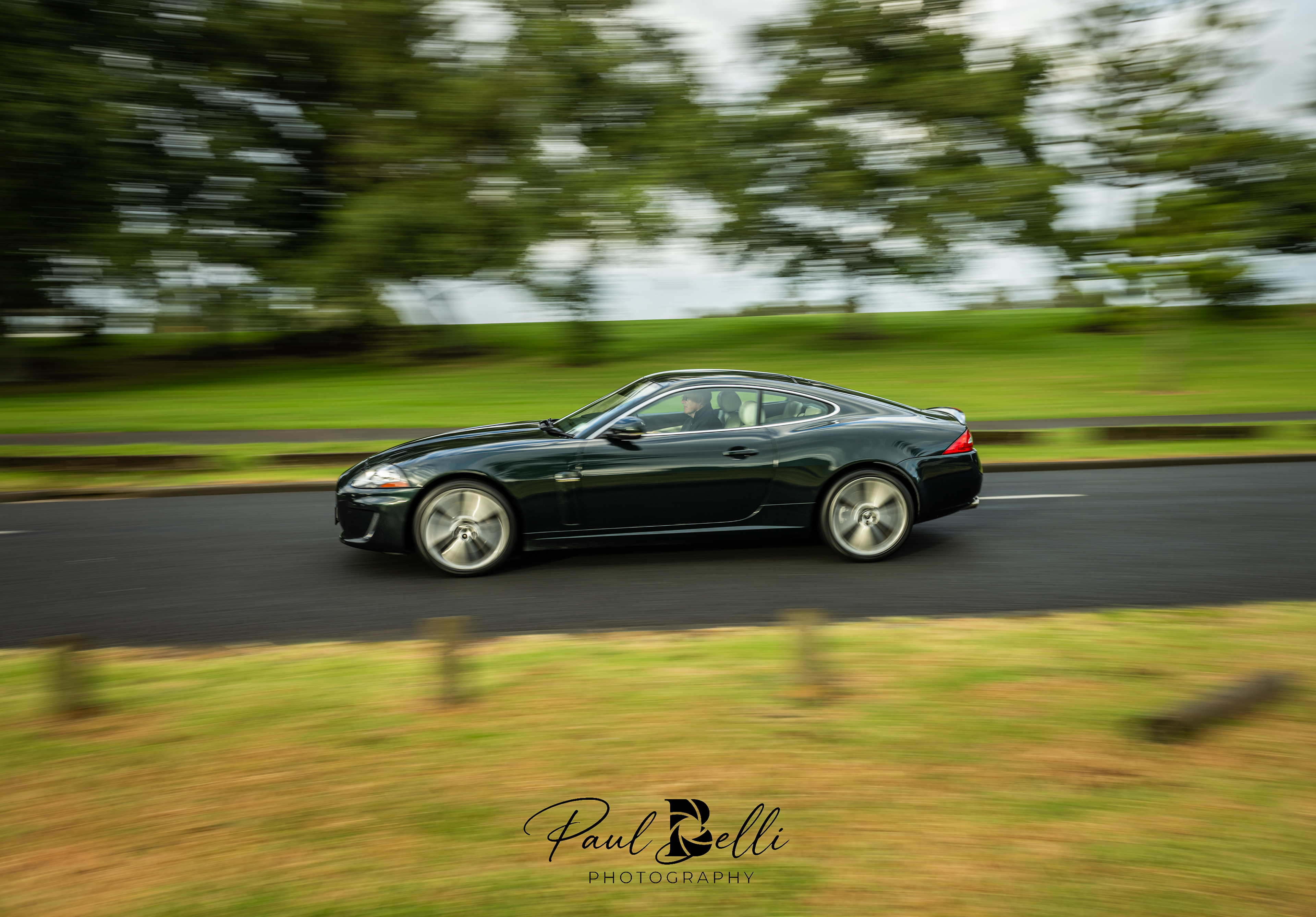 Morning Panning 45