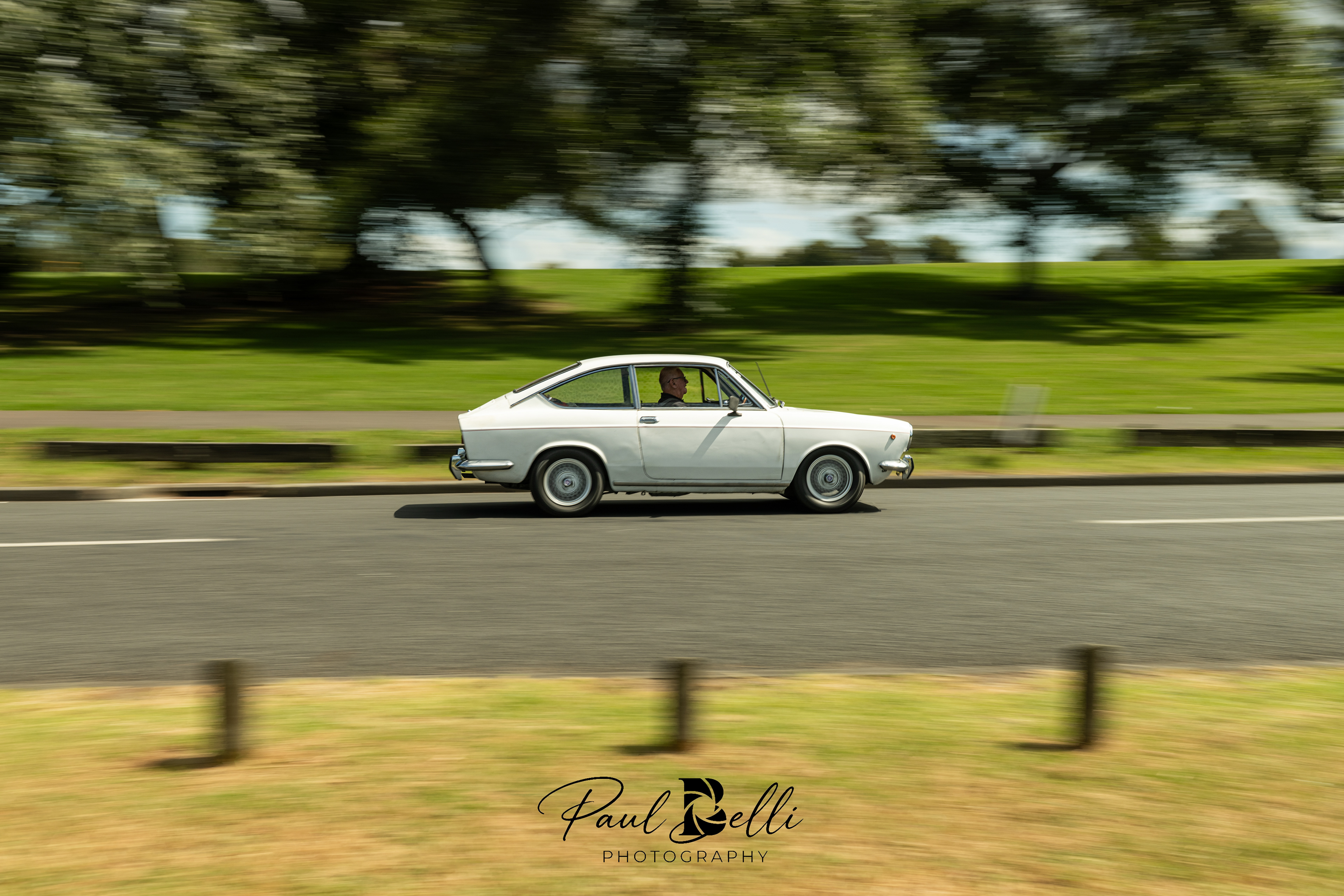 Afternoon Panning 3