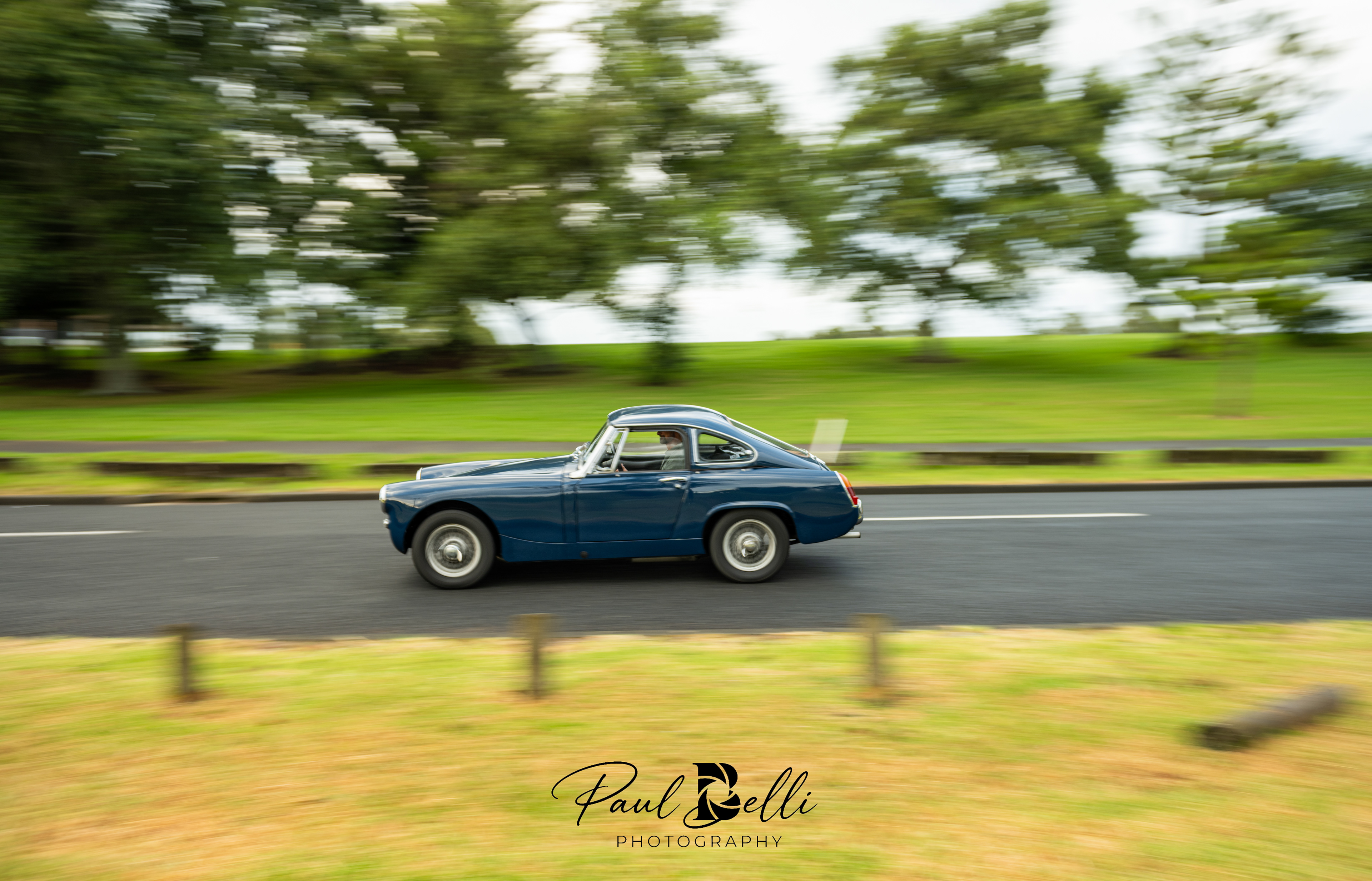 Morning Panning 19
