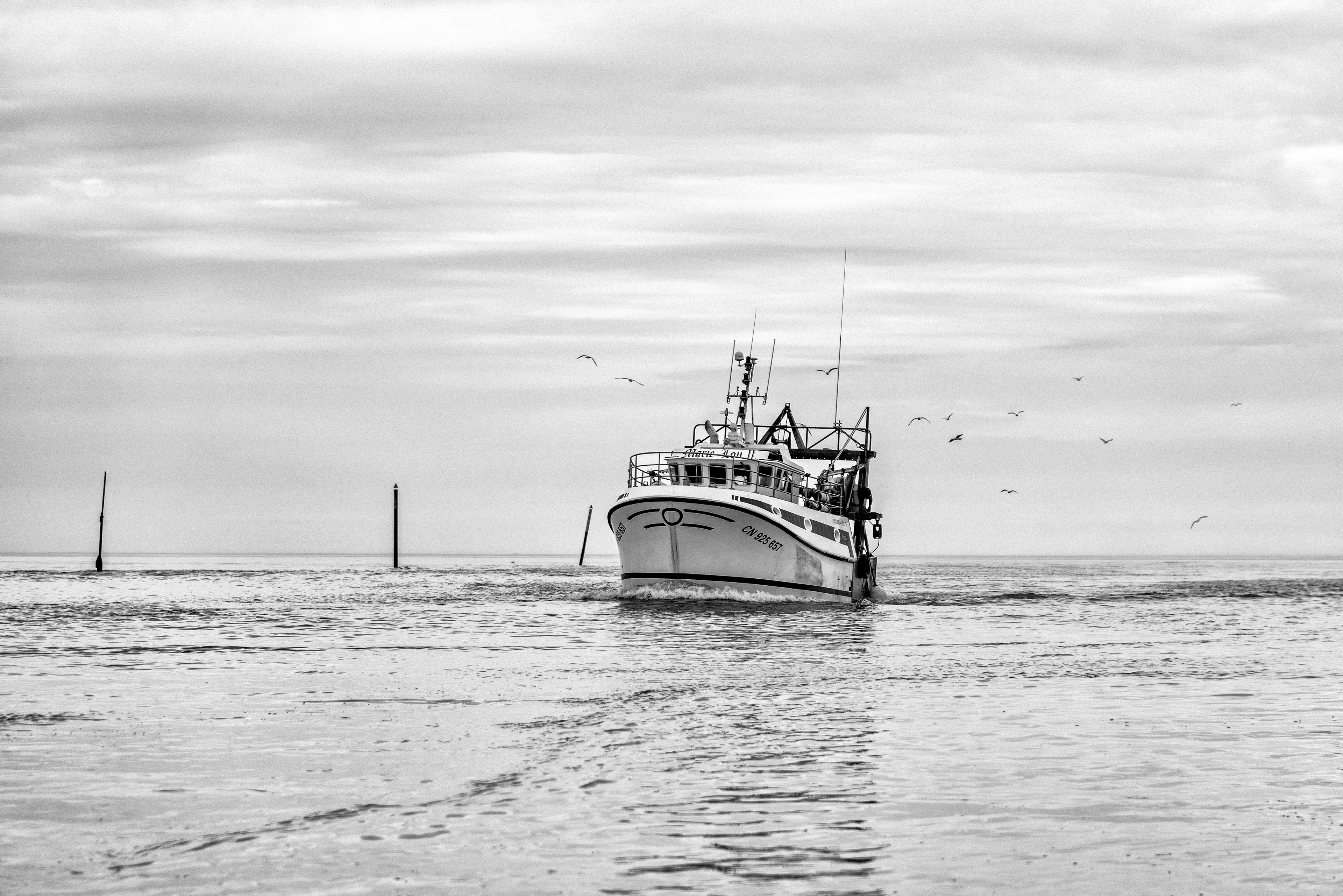 Pêcheurs de Trouville-sur-Mer — reportage au cœur du port, entre effort, solidarité et authenticité. Série réalisée par Steve Perchey.