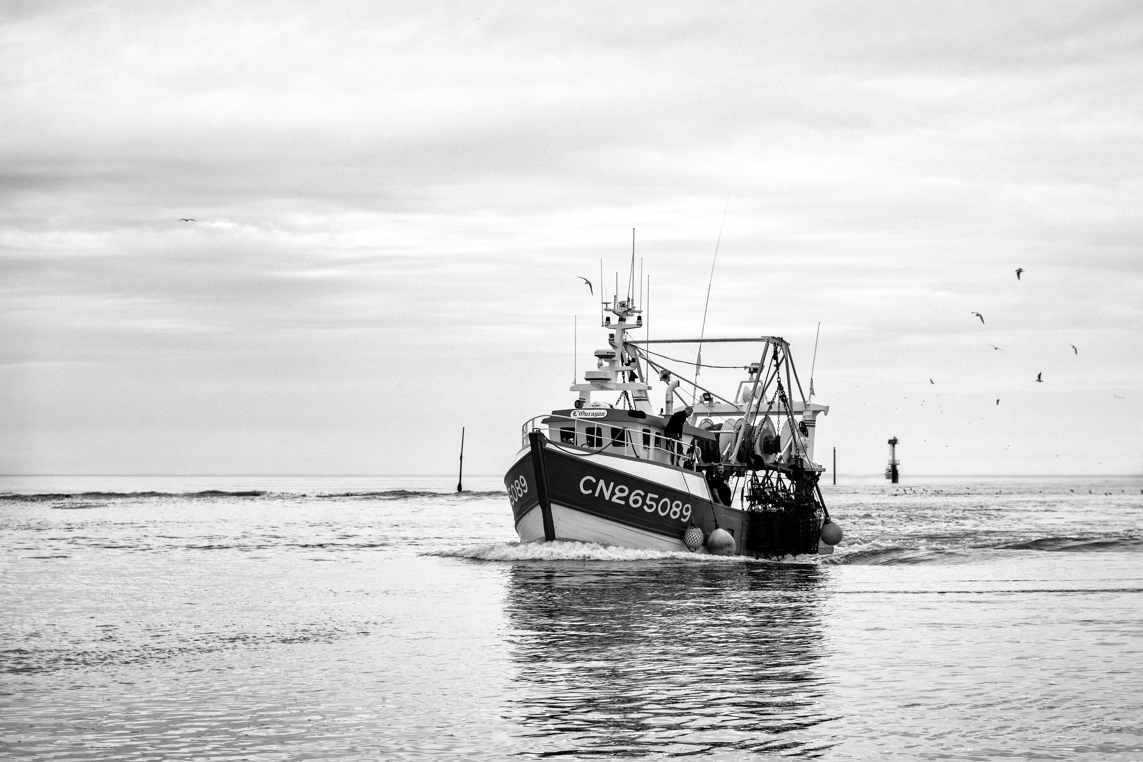 Pêcheurs de Trouville-sur-Mer — reportage au cœur du port, entre effort, solidarité et authenticité. Série réalisée par Steve Perchey.