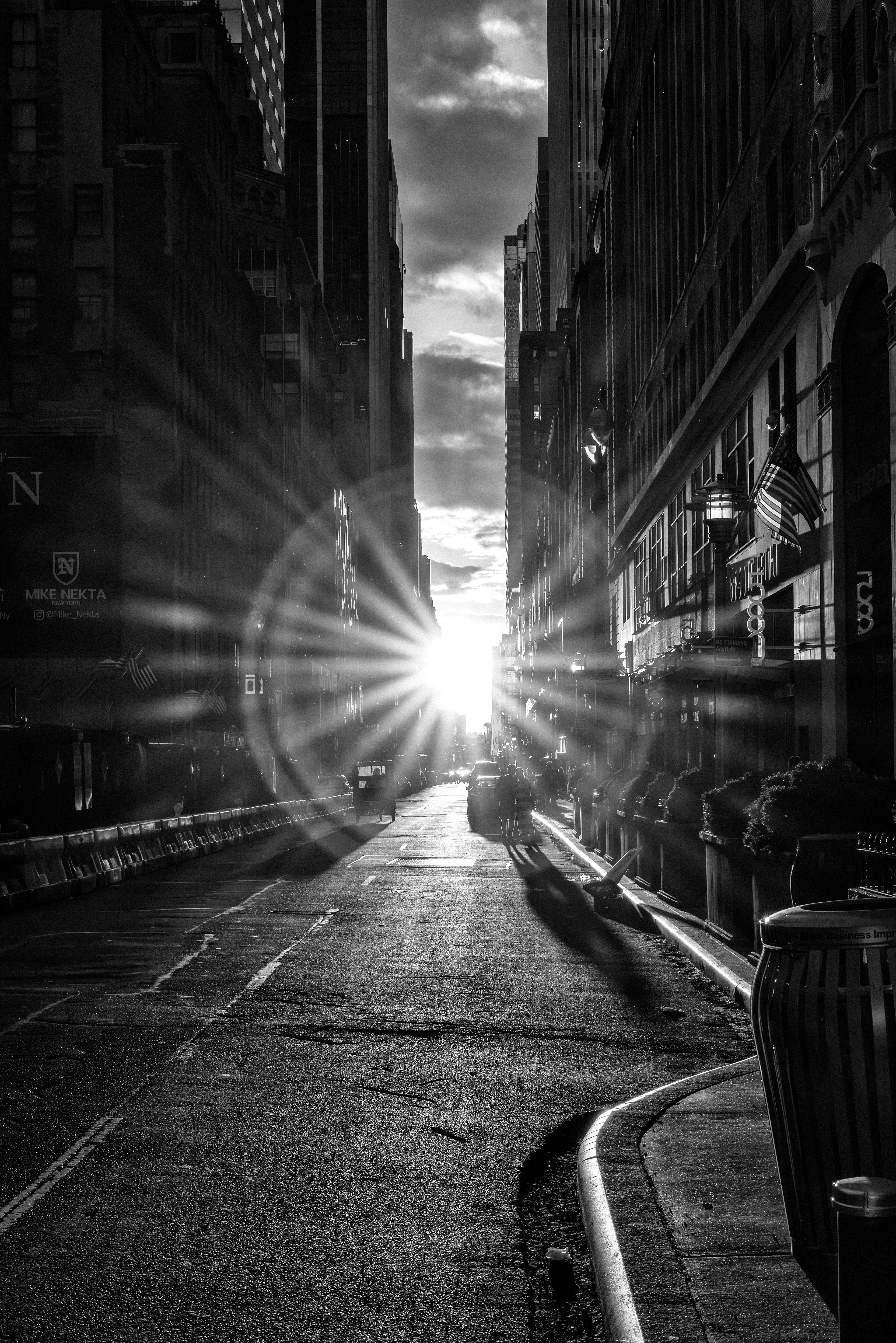     Chasing the Light