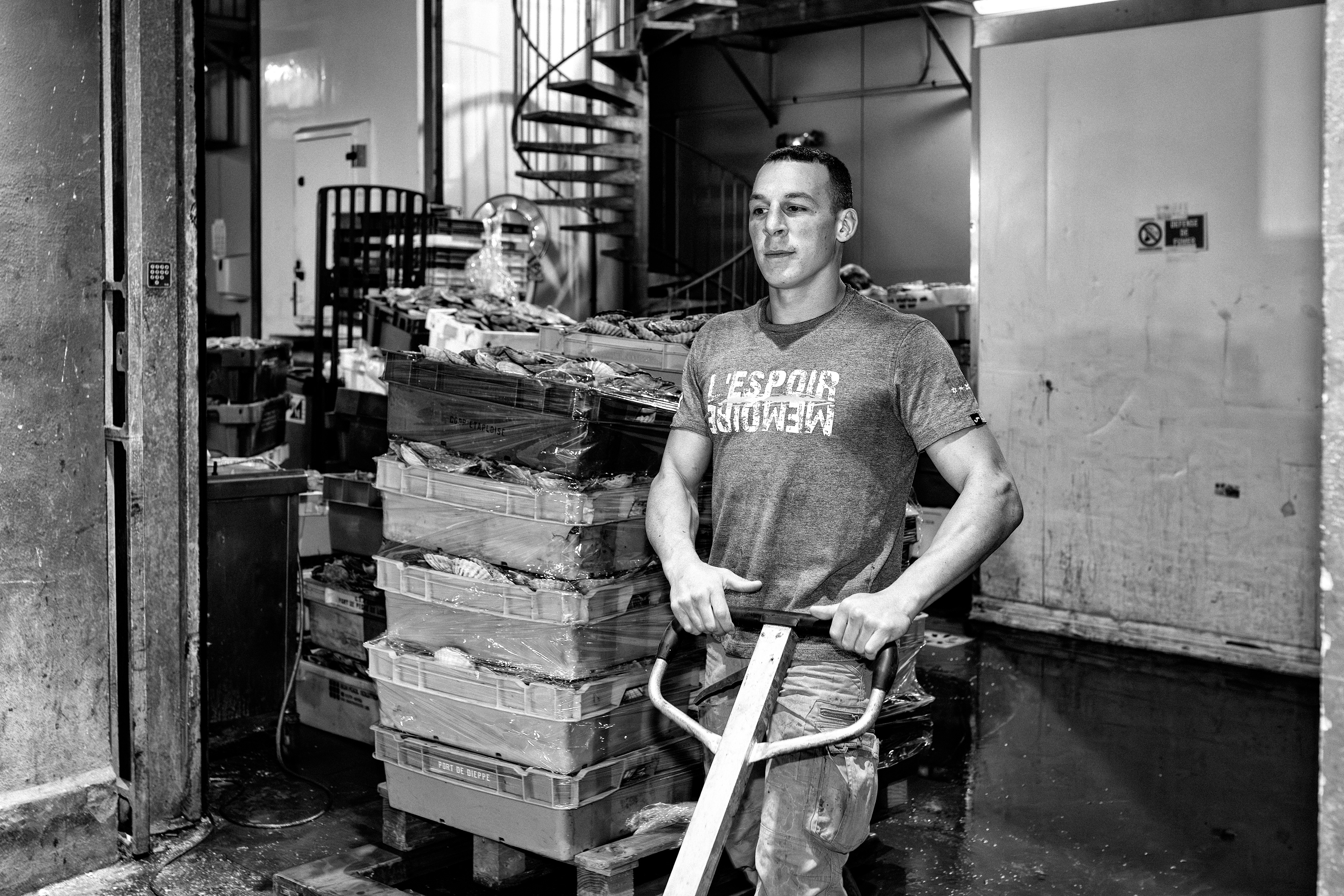 Pêcheurs de Trouville-sur-Mer — reportage au cœur du port, entre effort, solidarité et authenticité. Série réalisée par Steve Perchey.