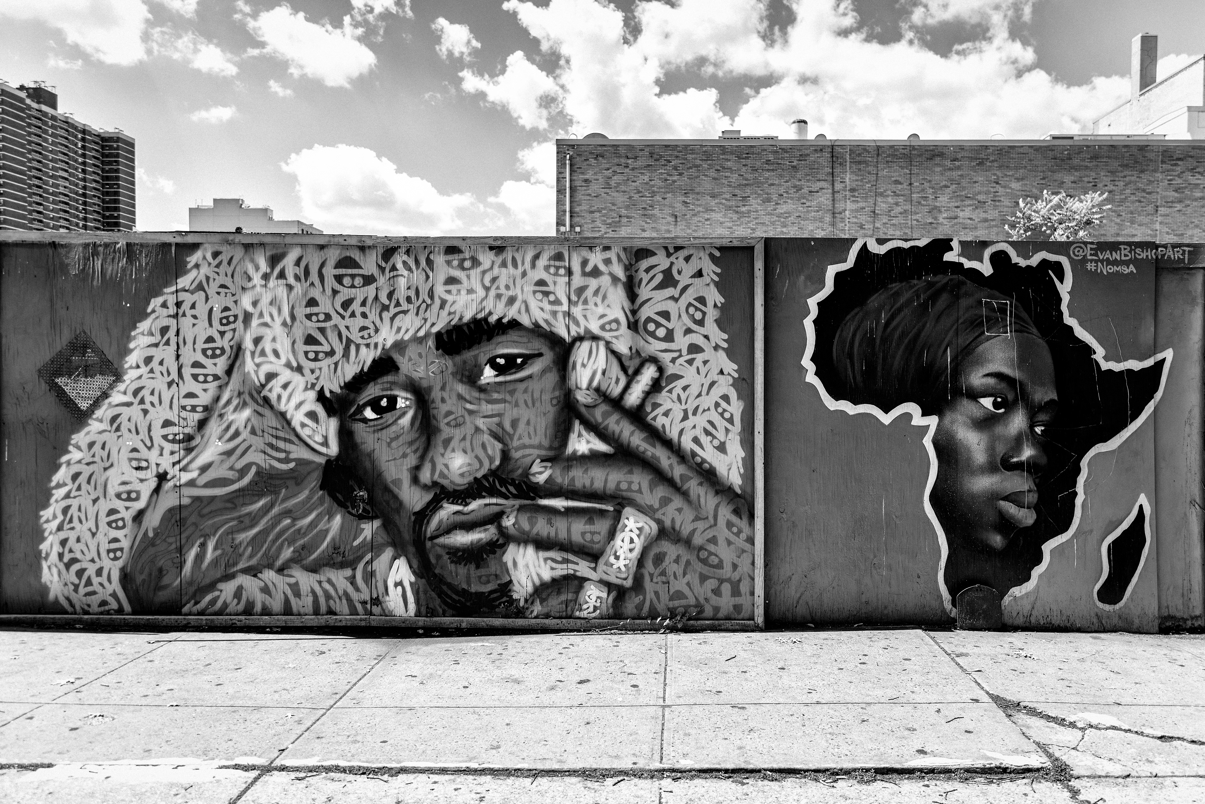 Roots