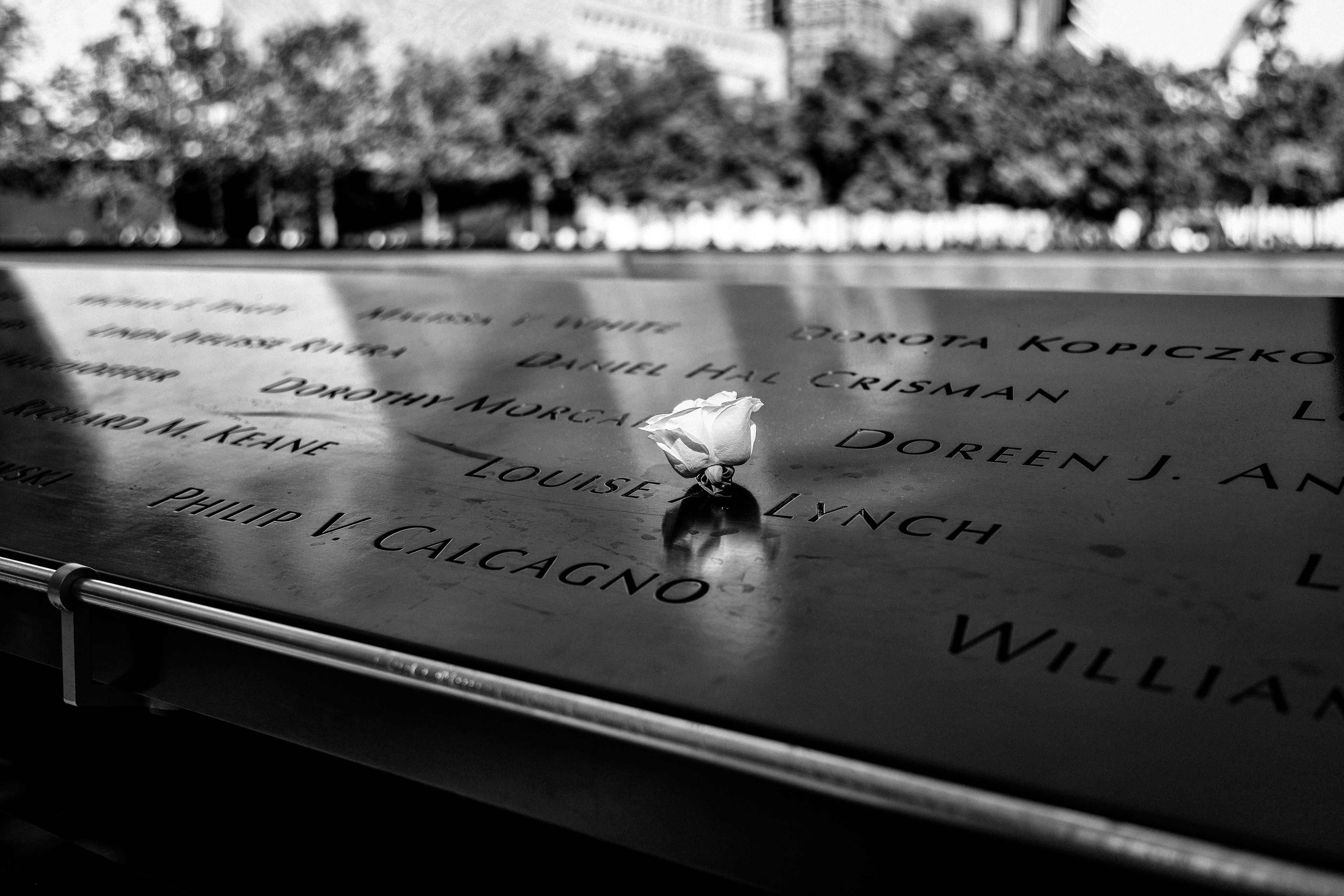     Never Forgotten
