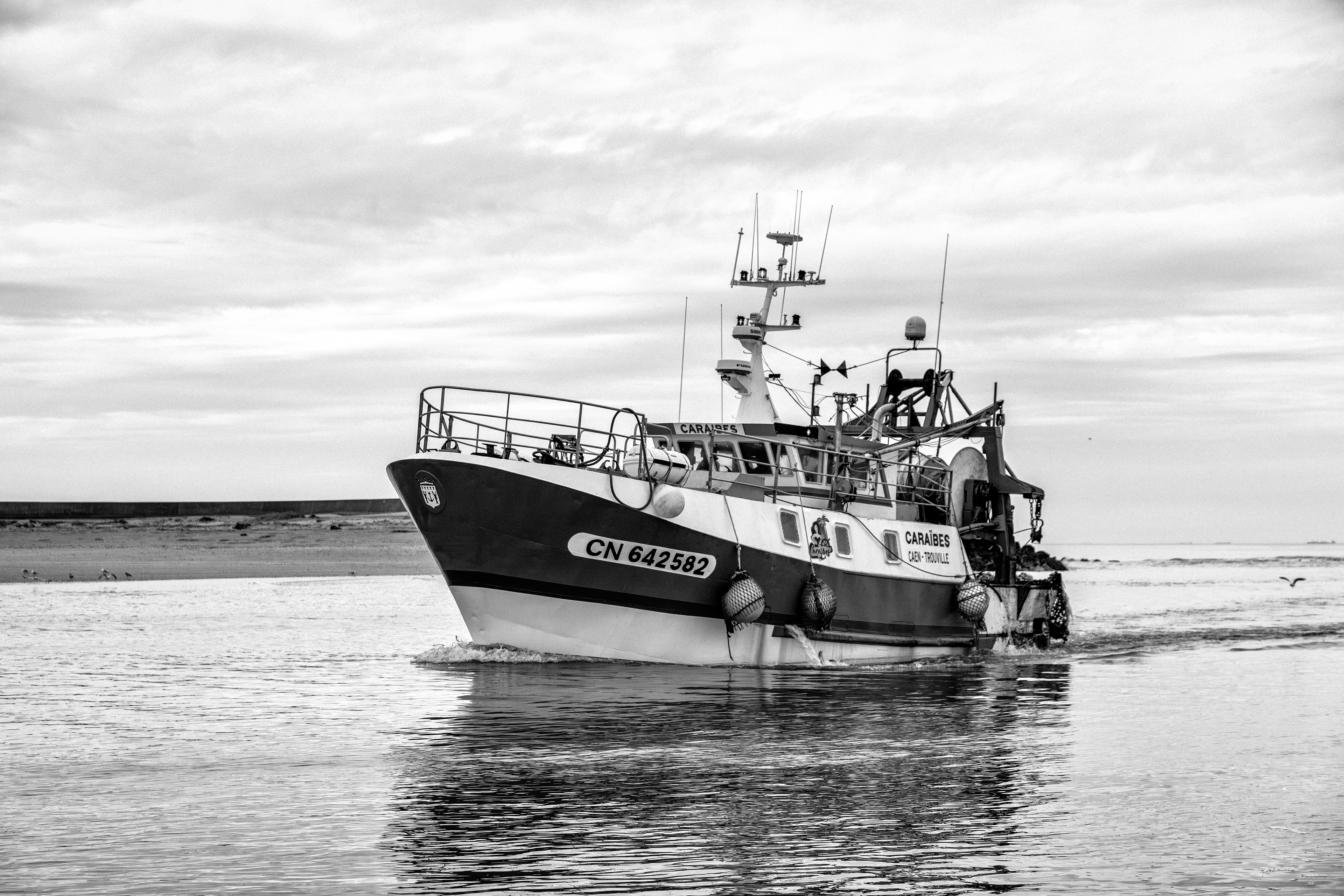Pêcheurs de Trouville-sur-Mer — reportage au cœur du port, entre effort, solidarité et authenticité. Série réalisée par Steve Perchey.