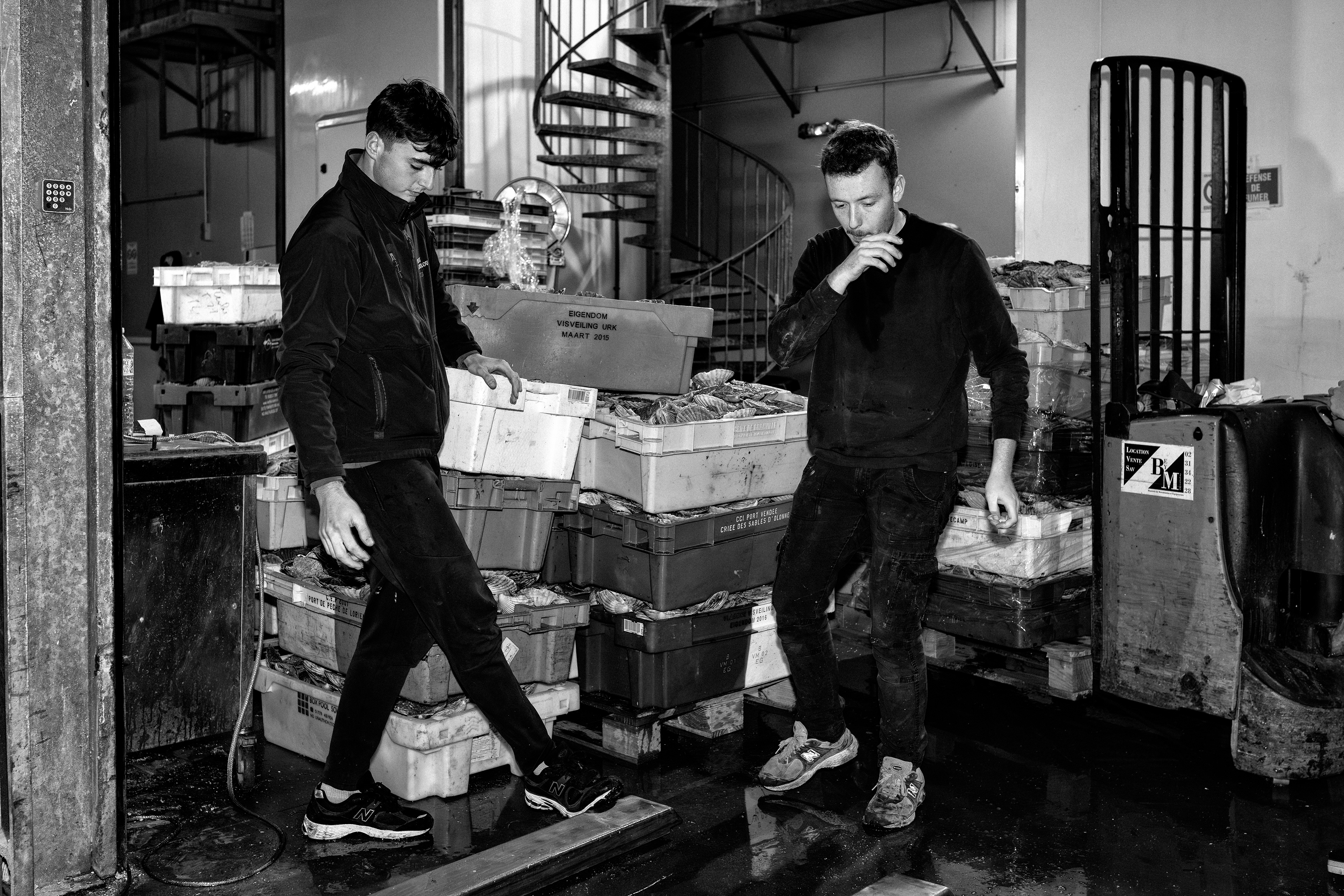 Pêcheurs de Trouville-sur-Mer — reportage au cœur du port, entre effort, solidarité et authenticité. Série réalisée par Steve Perchey.