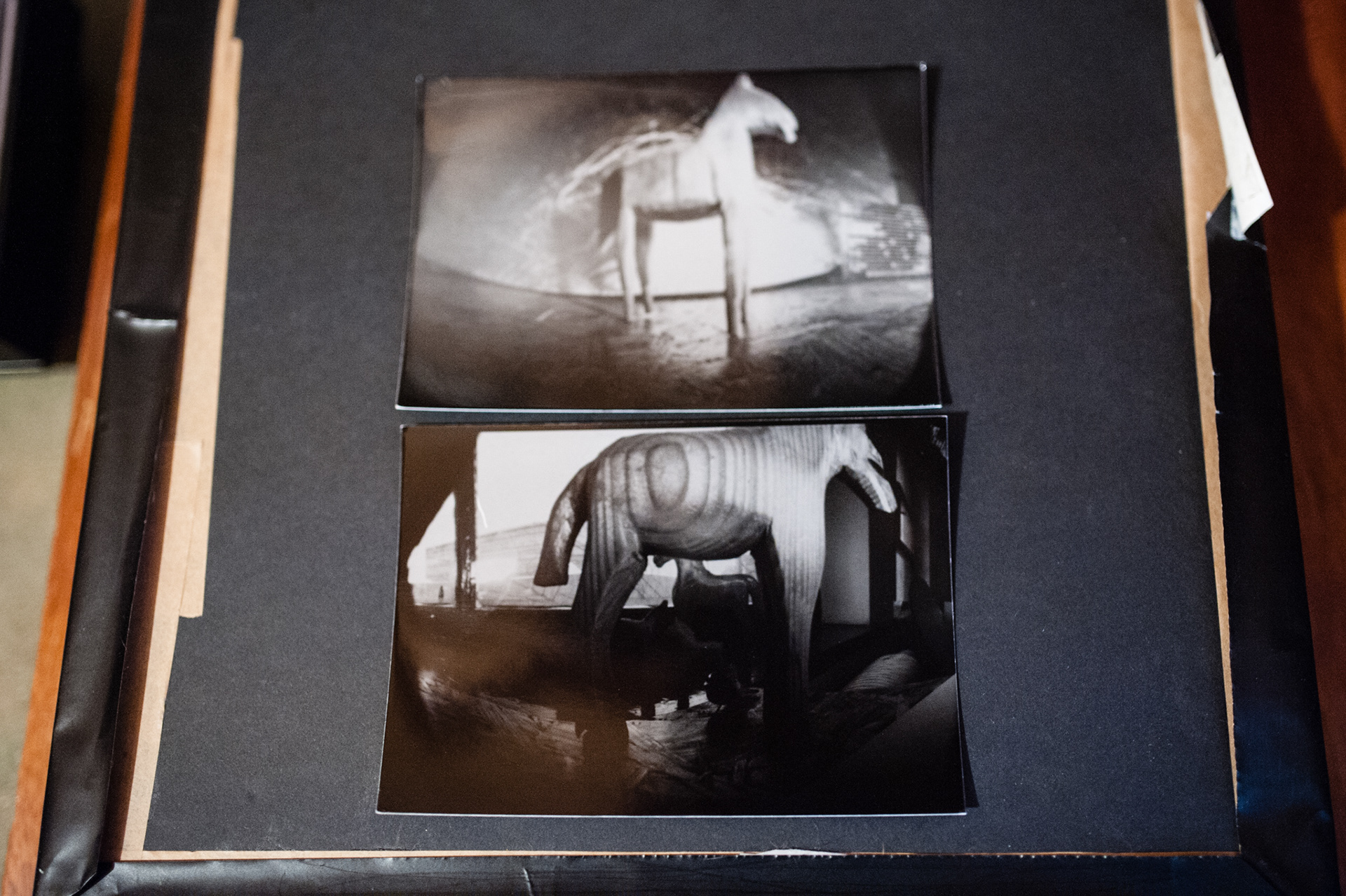 Fotografia otworkowa, warsztaty z Basią Budniak