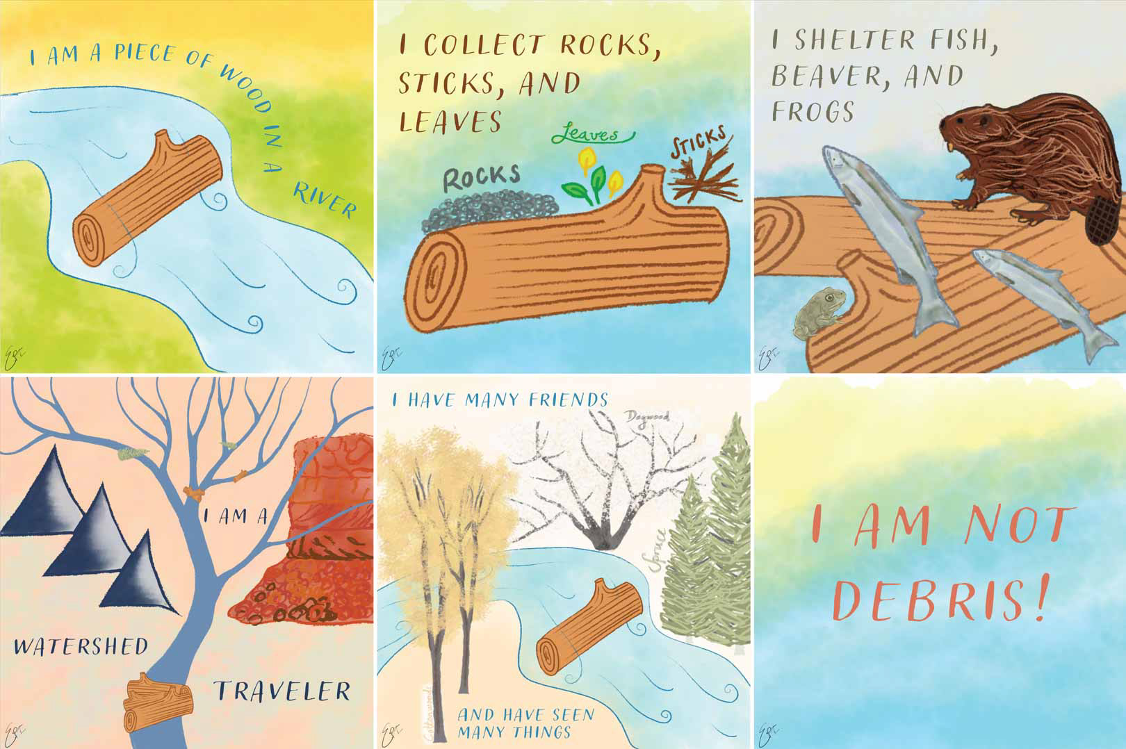 Large wood, once referred to in many fields as "large woody debris", provides many ecosystem functions in river corridors. This cartoon demonstrates just a few of them. Wood has historically been removed from rivers around the globe, and with the loss of wood, we also lose the associated functions of wood. Not to fear, however, as river scientists and restoration practitioners are hard at work coming up with creative ways to reintroduce wood to rivers. Large wood is definitely NOT debris! Created in Adobe Fresco and Illustrator.