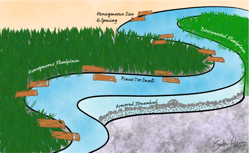 Illustration of ineffective uses of large wood in rivers, created in Adobe Fresco and Illustrator.