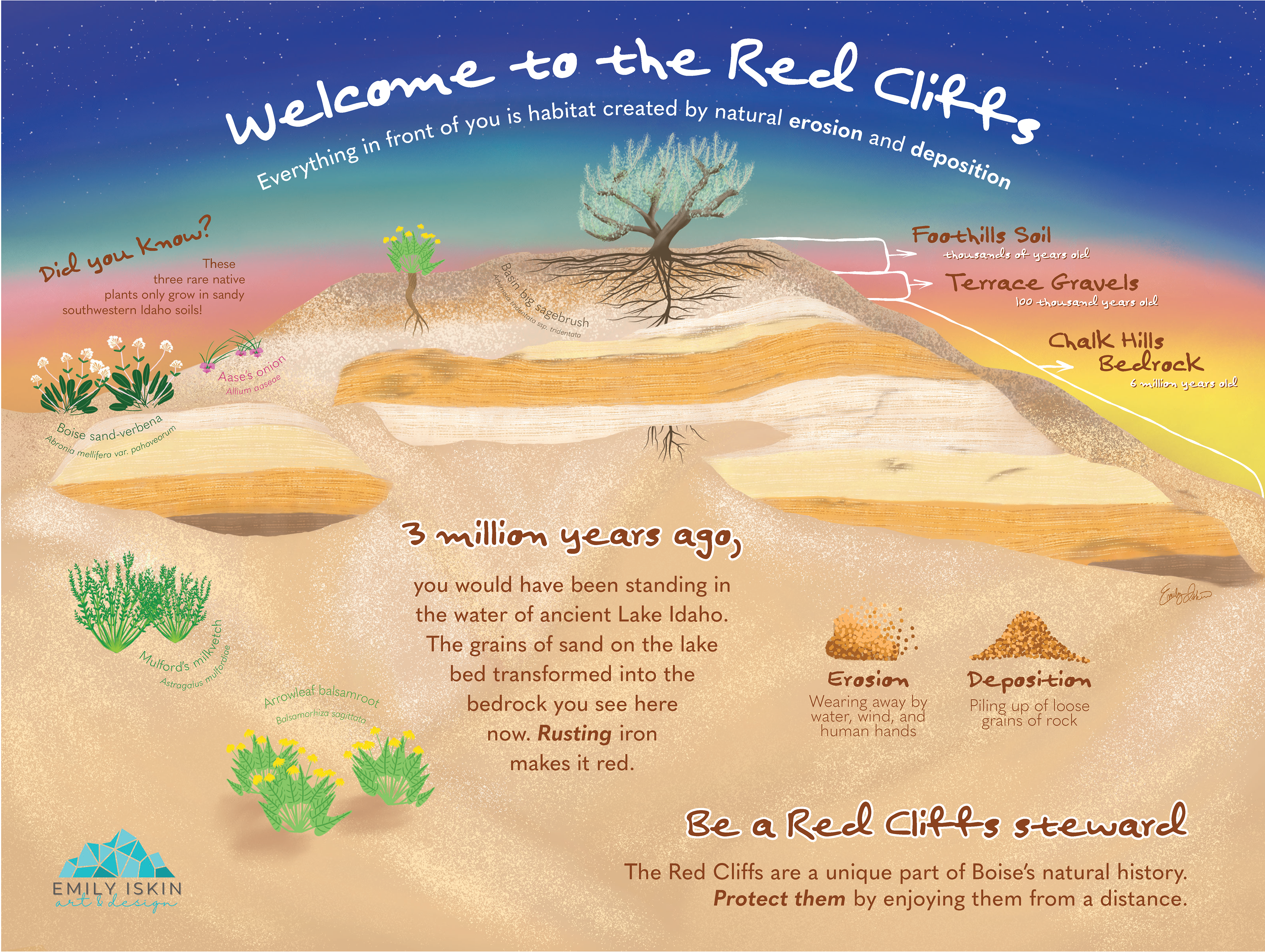 Draft public-facing sign to encourage stewardship of a natural feature in the Boise Foothills, created in Adobe Fresco and Illustrator.
