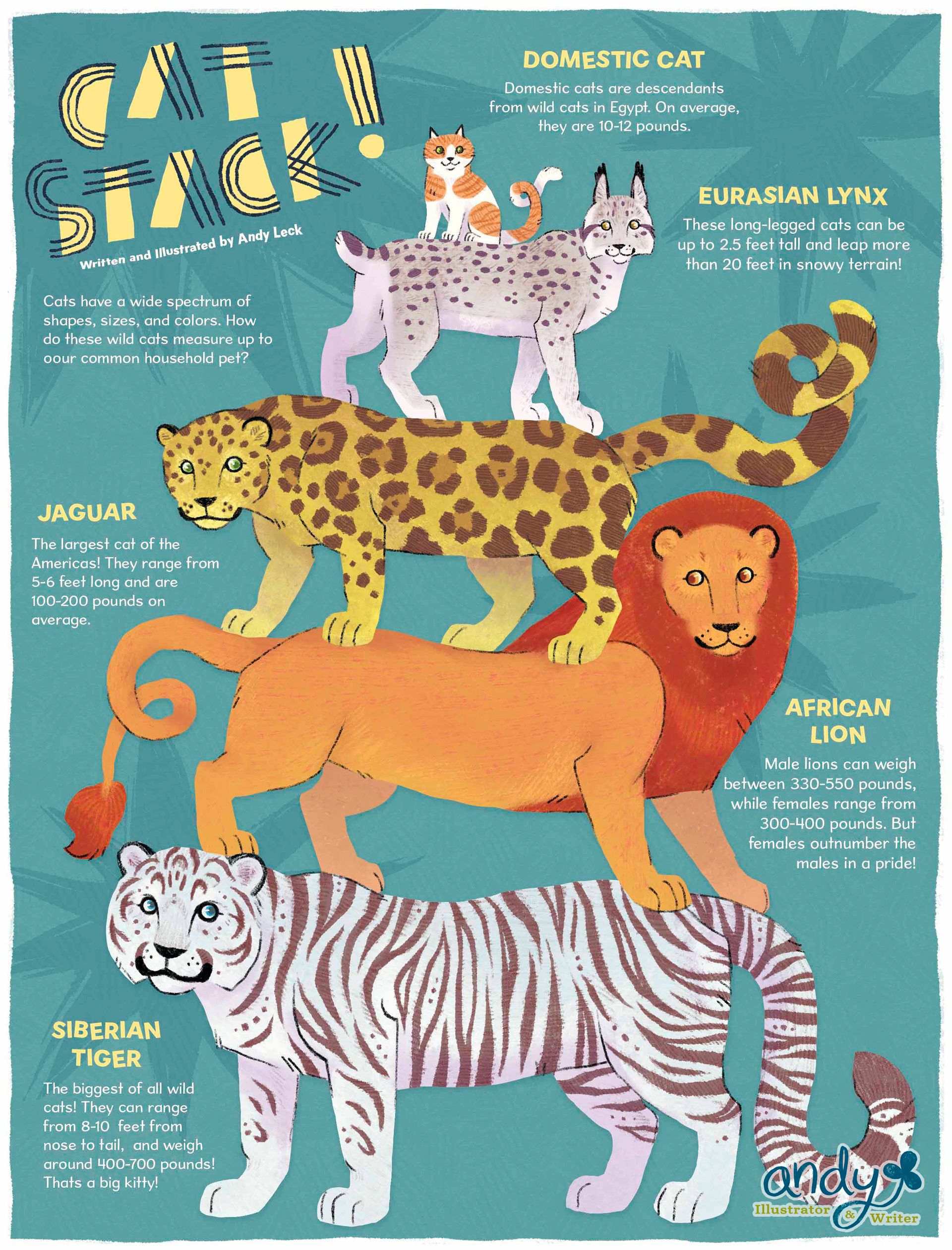 Infographic for cat lovers. Procreate, 2025.