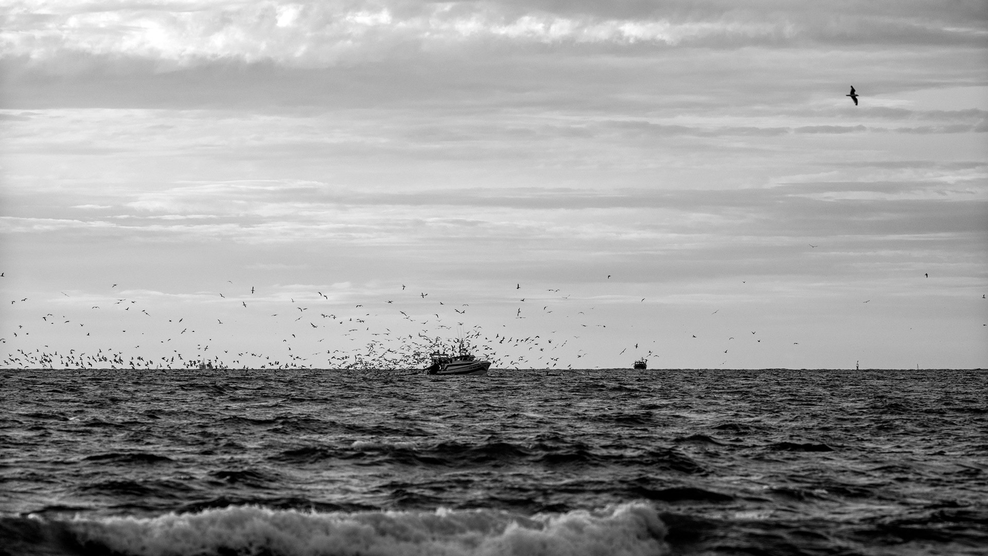 The Swarm Beyond the Line