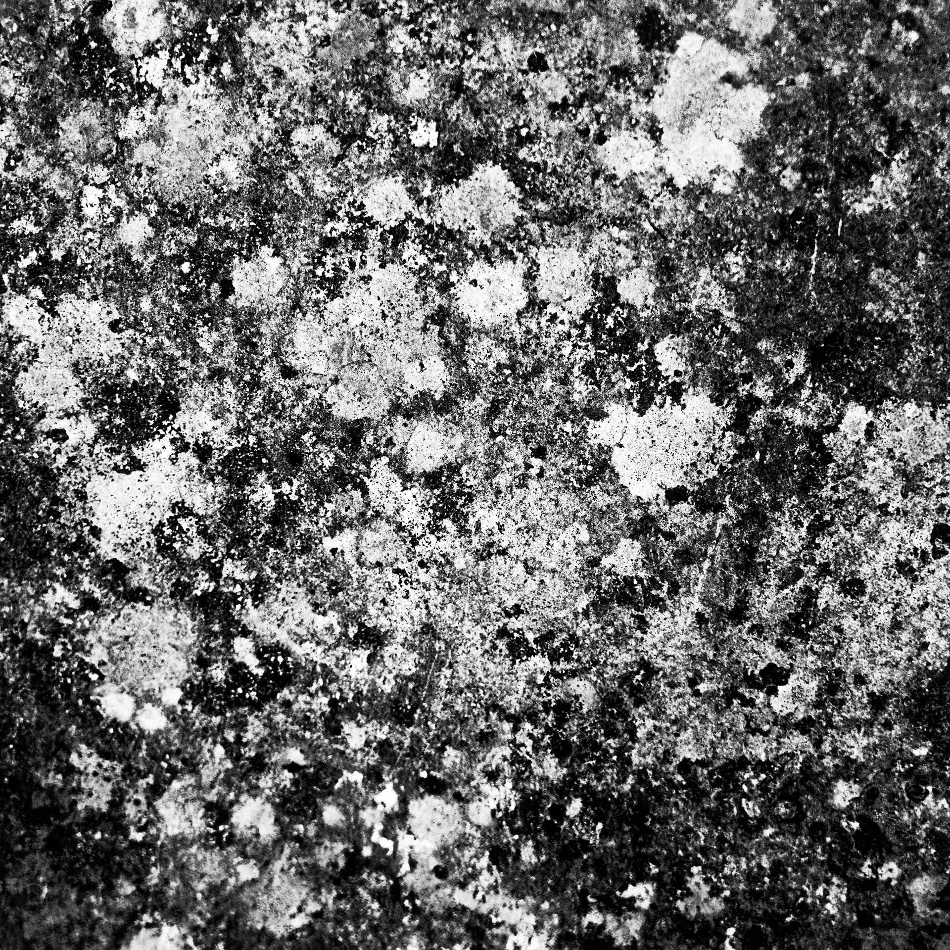Untitled DSCF4828