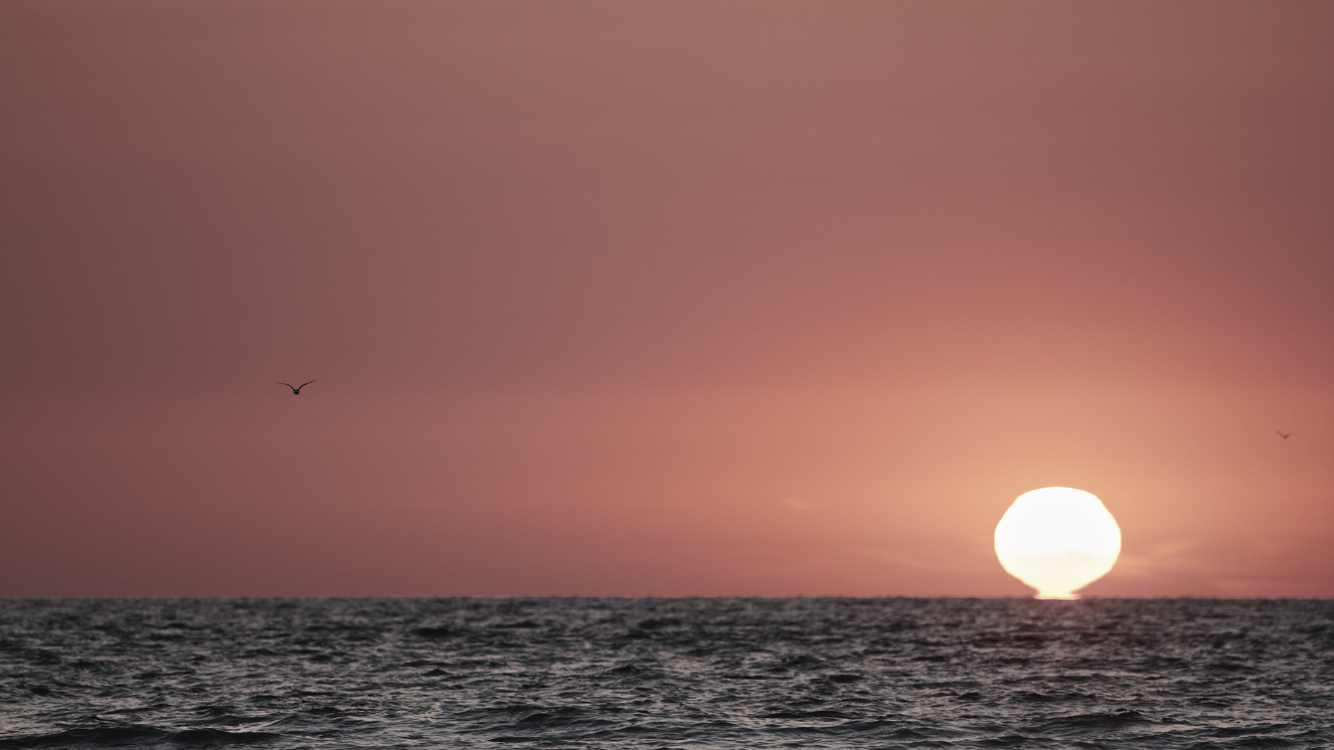 Following the Tide