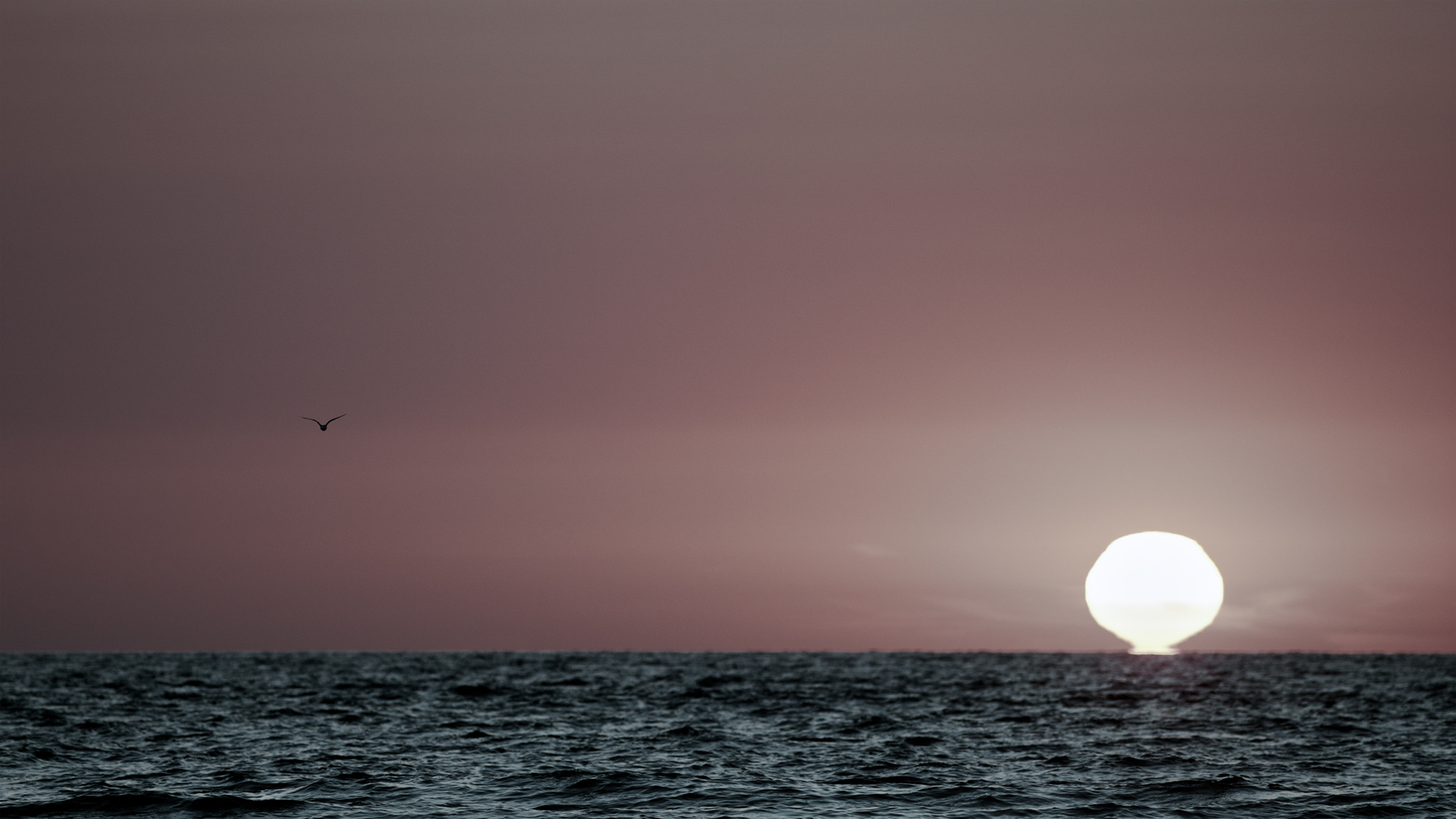 Following the Tide