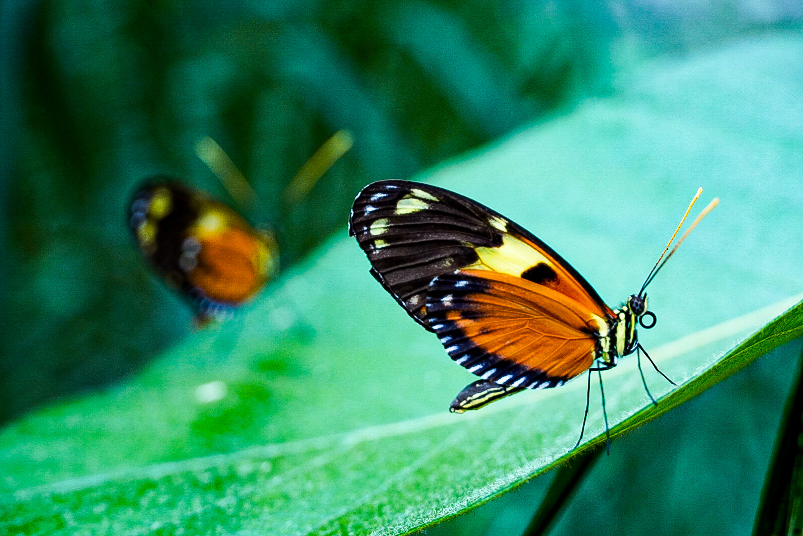 Featured at digitalcameraworld.com