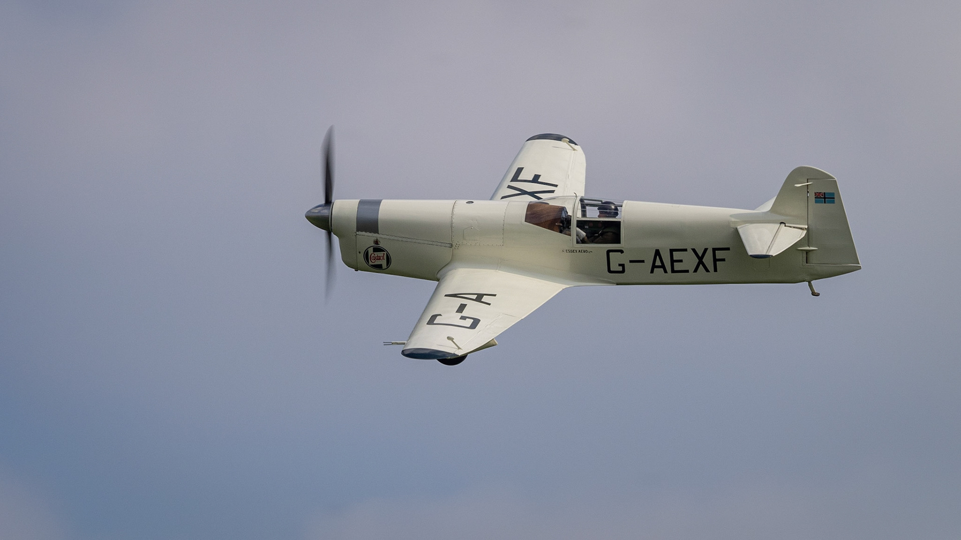 Original 1936 Percival Mew Gull racer