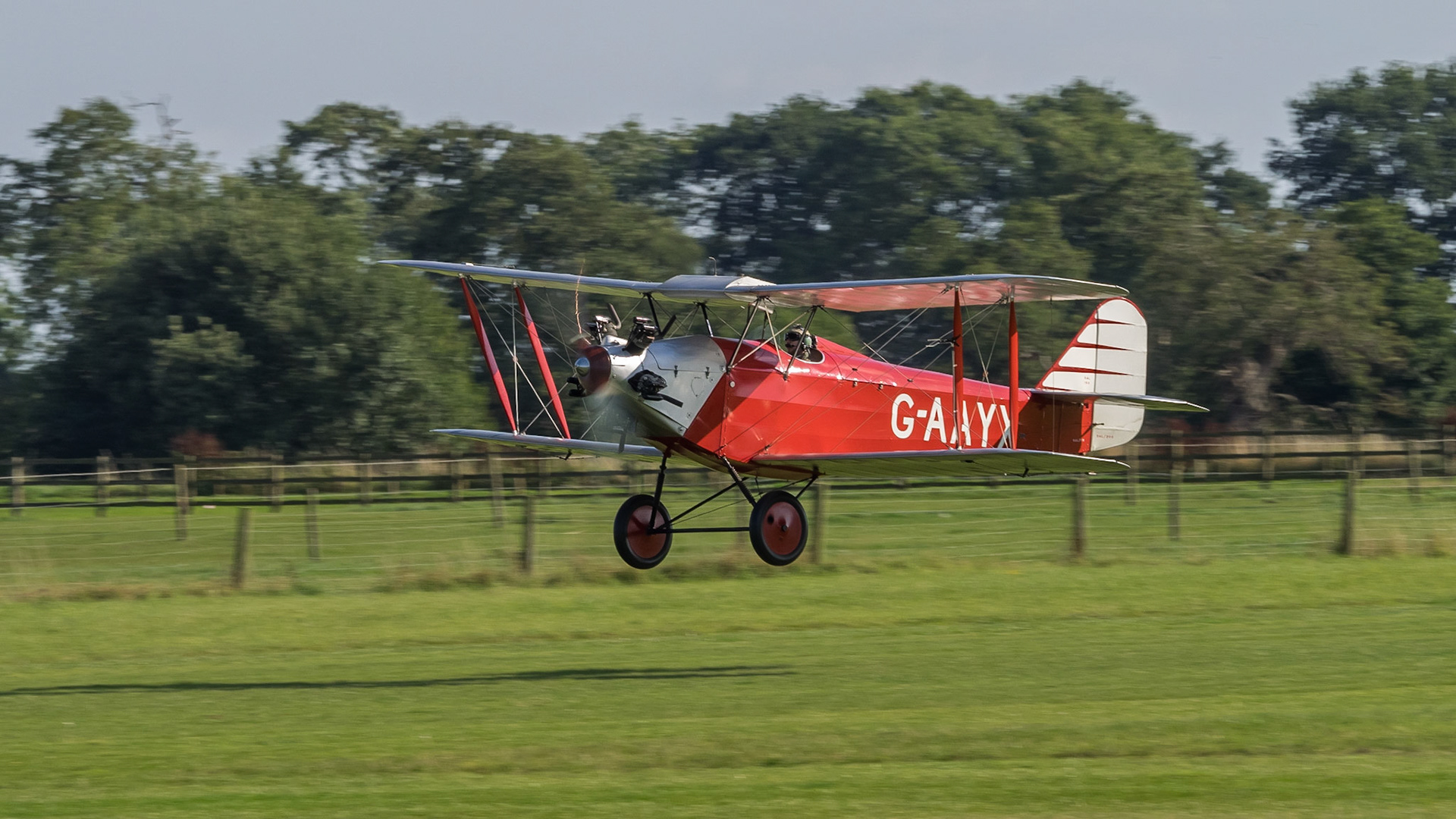 Original 1929 Southern Martlett