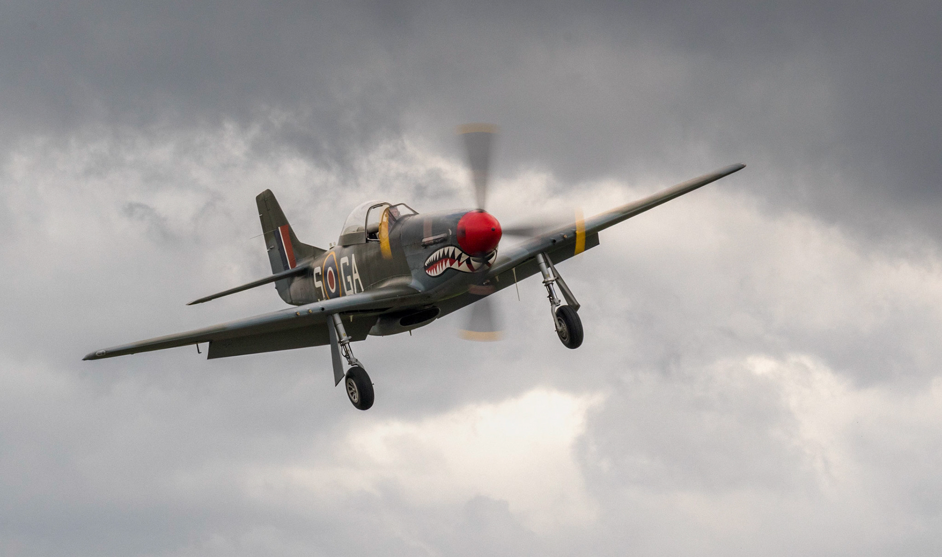 Mustang lands in storm