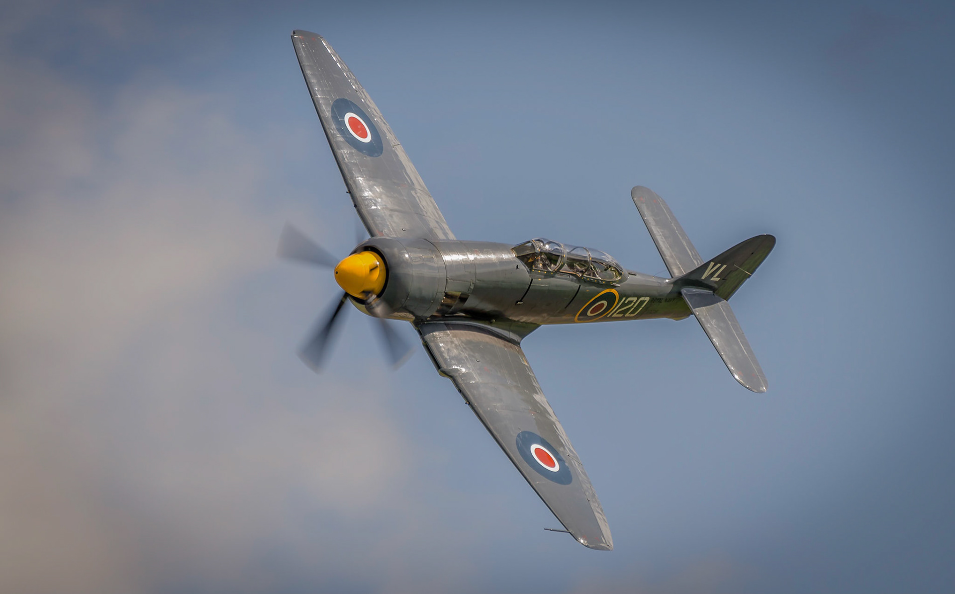 A vintage British Hawker Sea Fury in flight