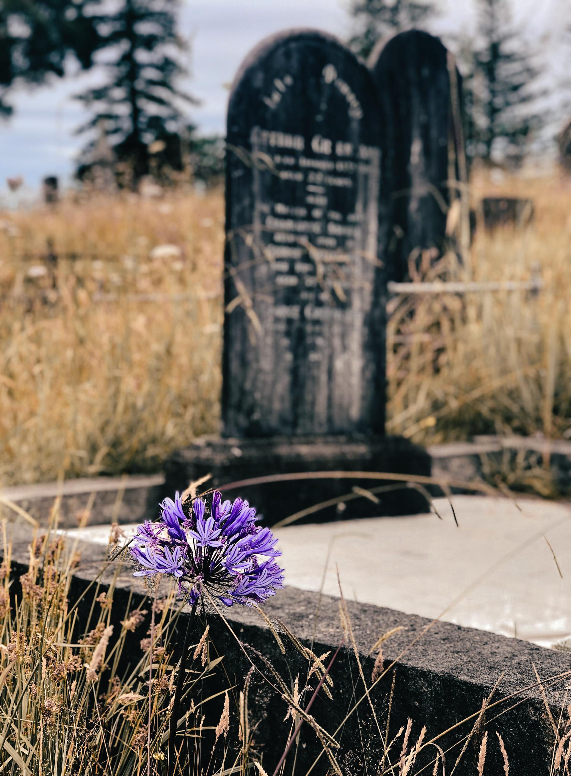 Waikumete Cemetery