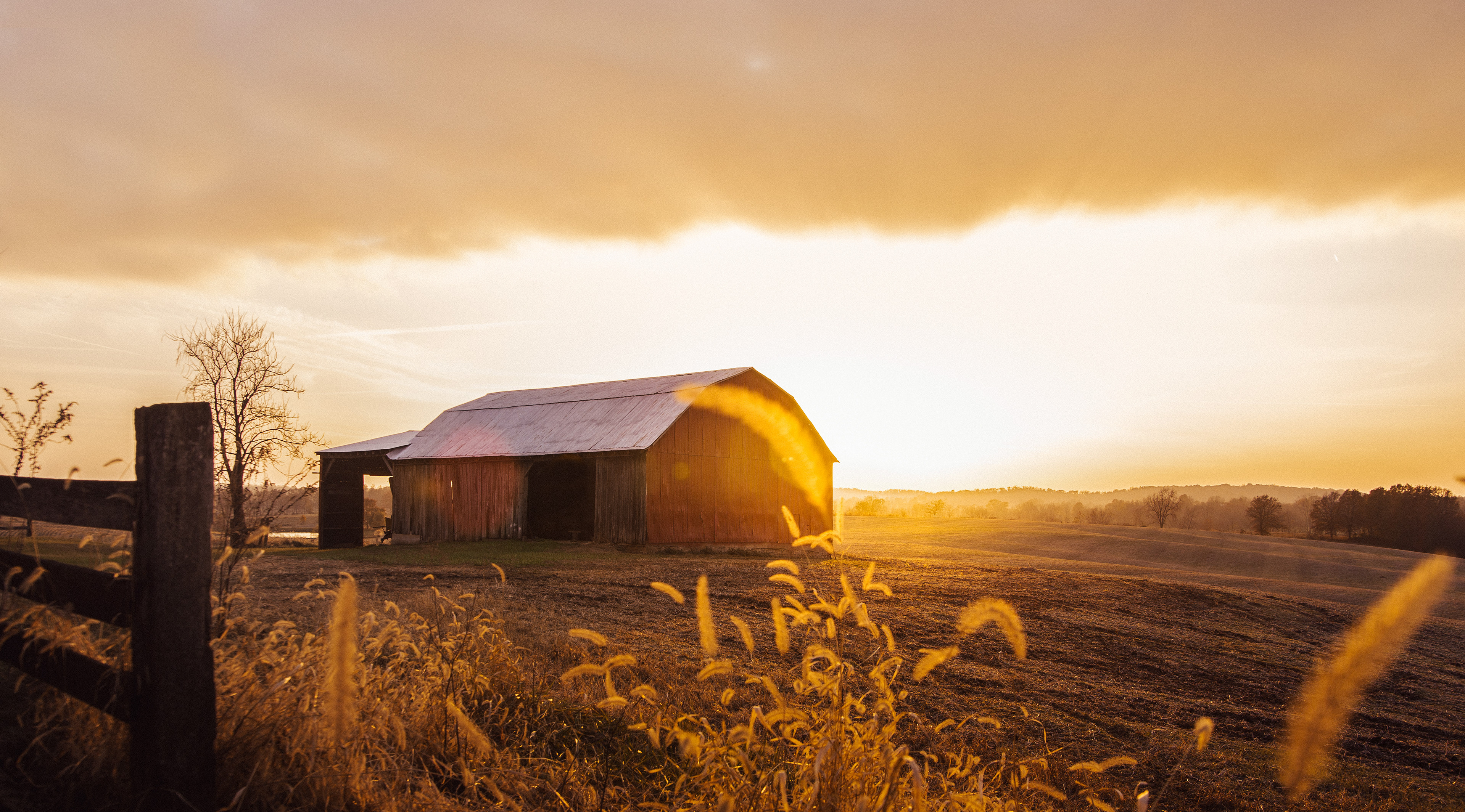 Farm Land | Cape Girardeau, MO