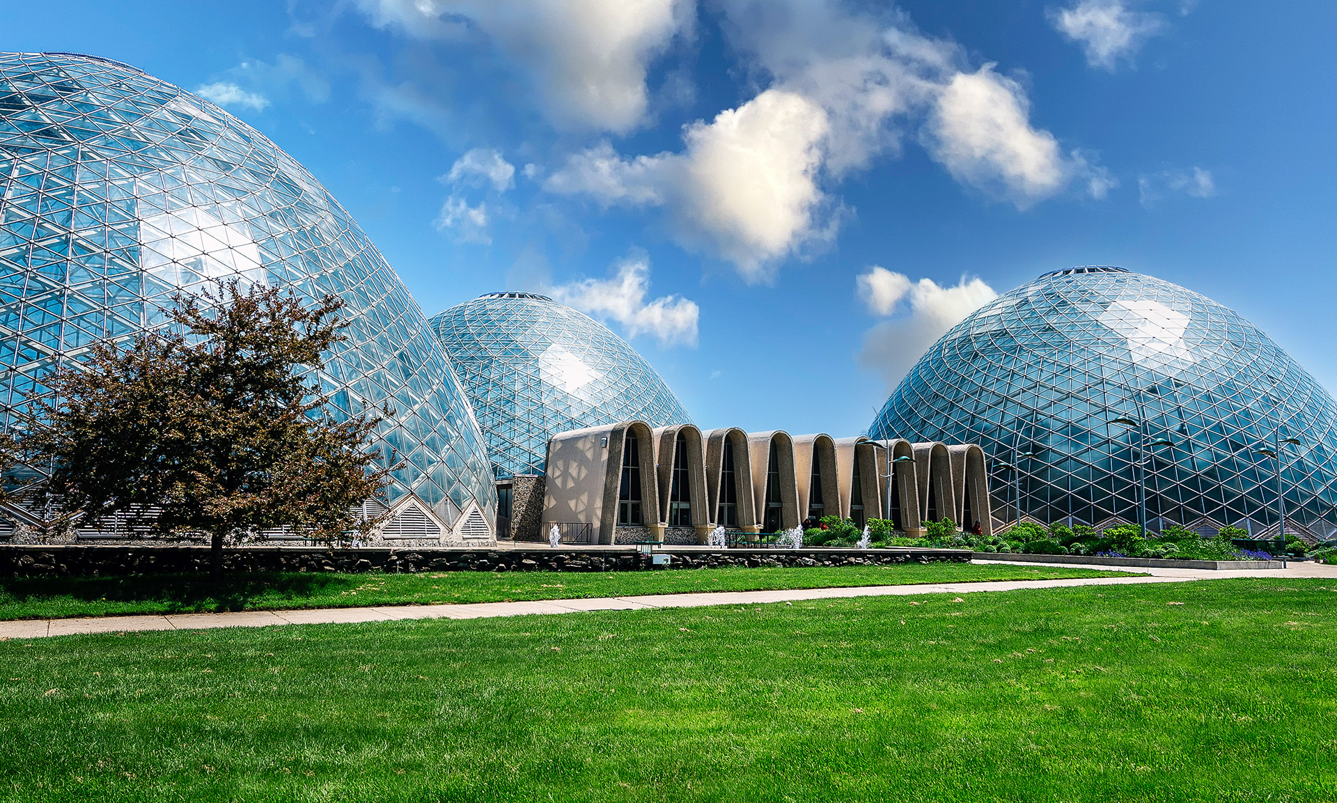 The Domes | Milwaukee, WI