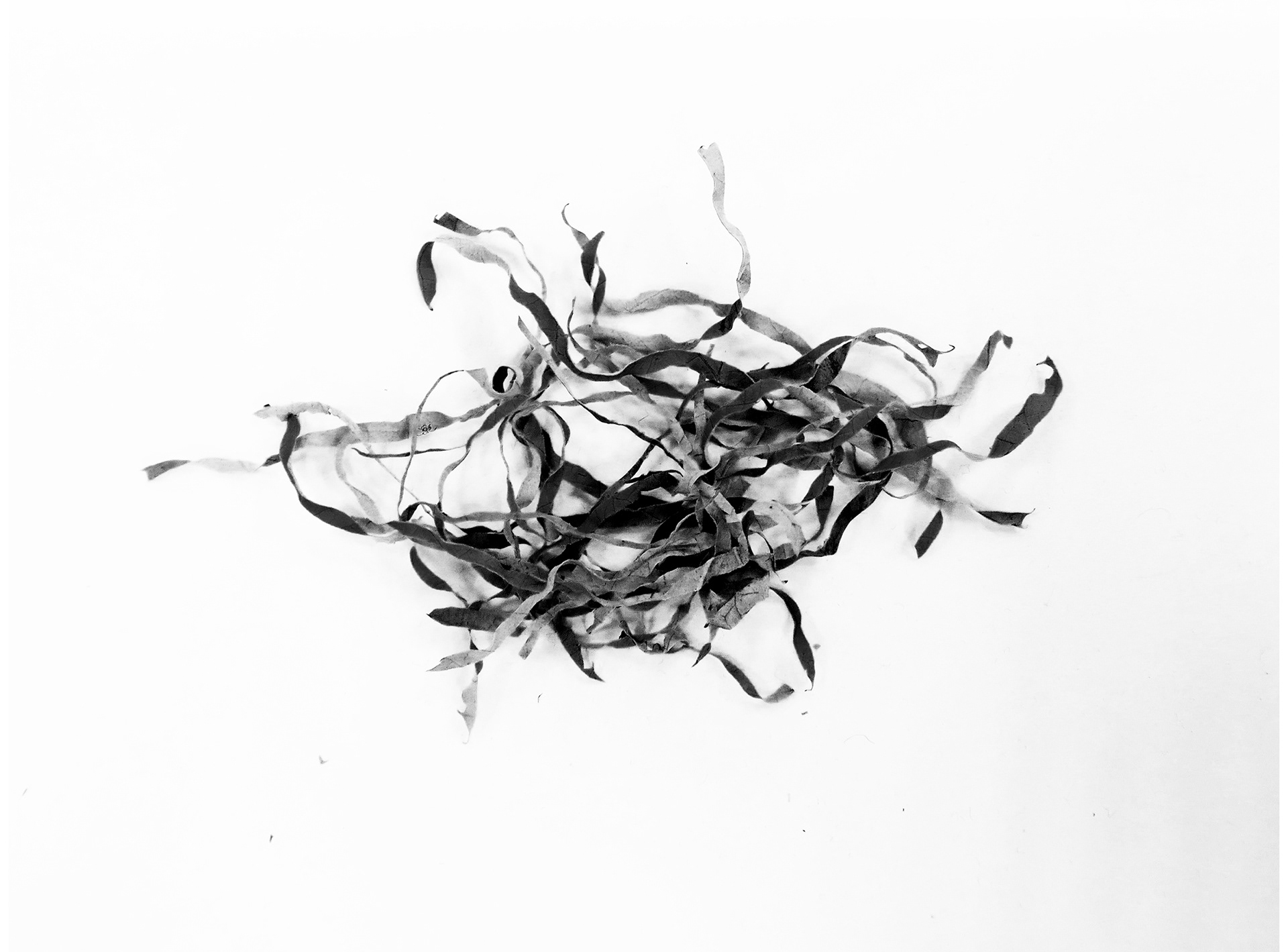 fridge celebrates loneliness . HKU . Utrecht (NL)